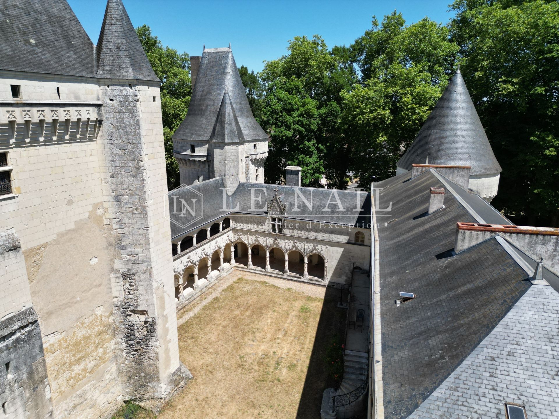 castle 15 rooms for sale on BUZANCAIS (36500)