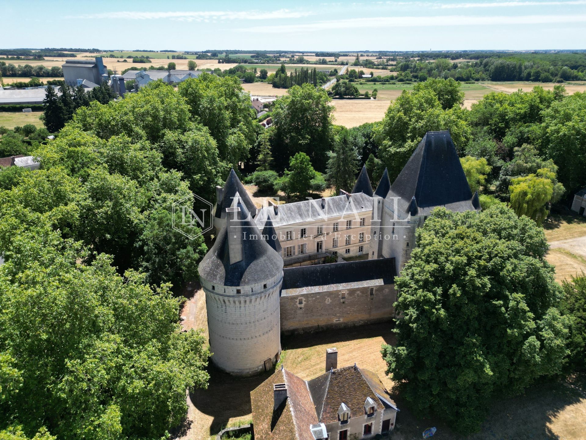 château 15 pièces en vente à BUZANCAIS (36500)