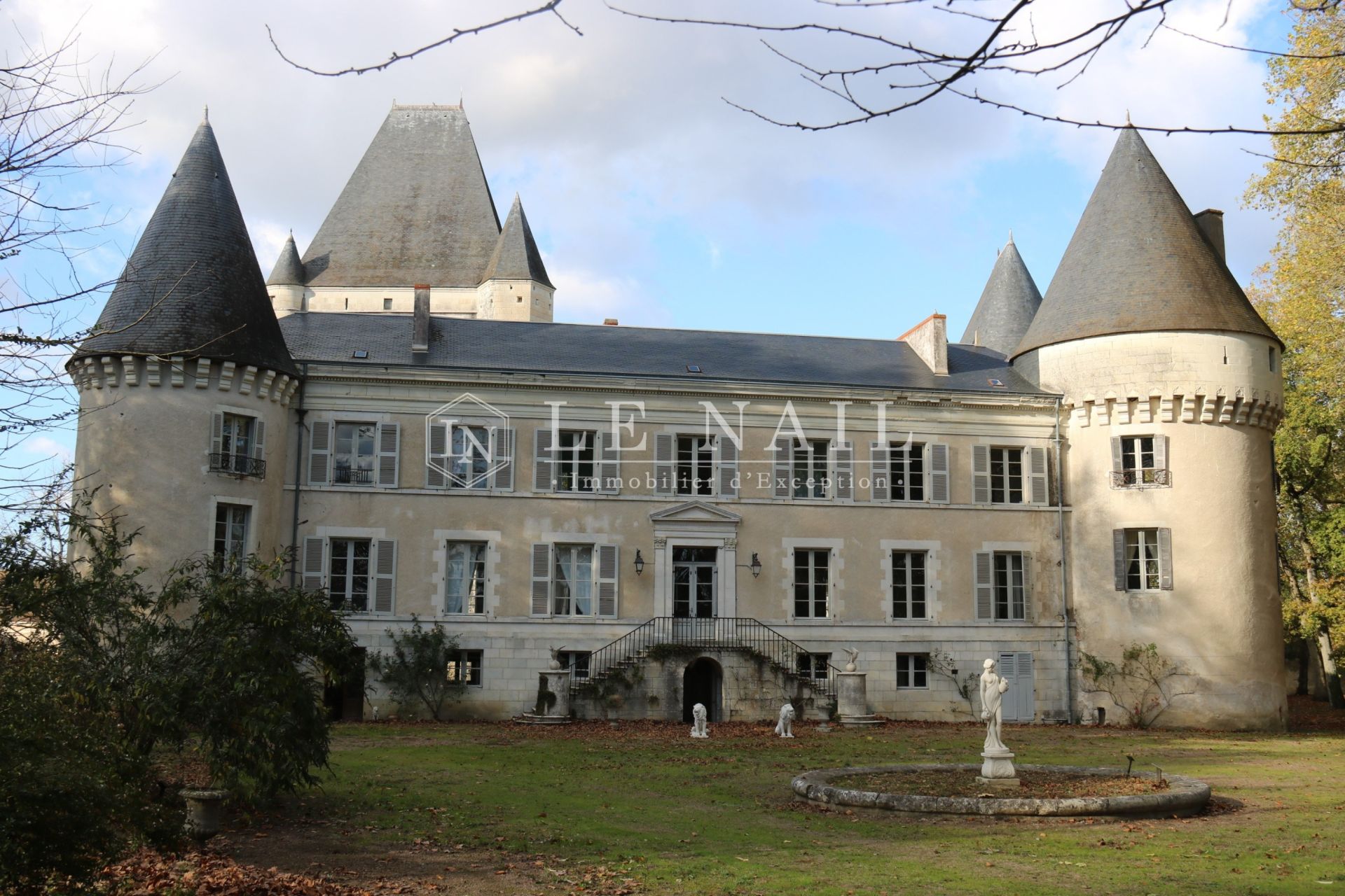 château 15 pièces en vente à BUZANCAIS (36500)