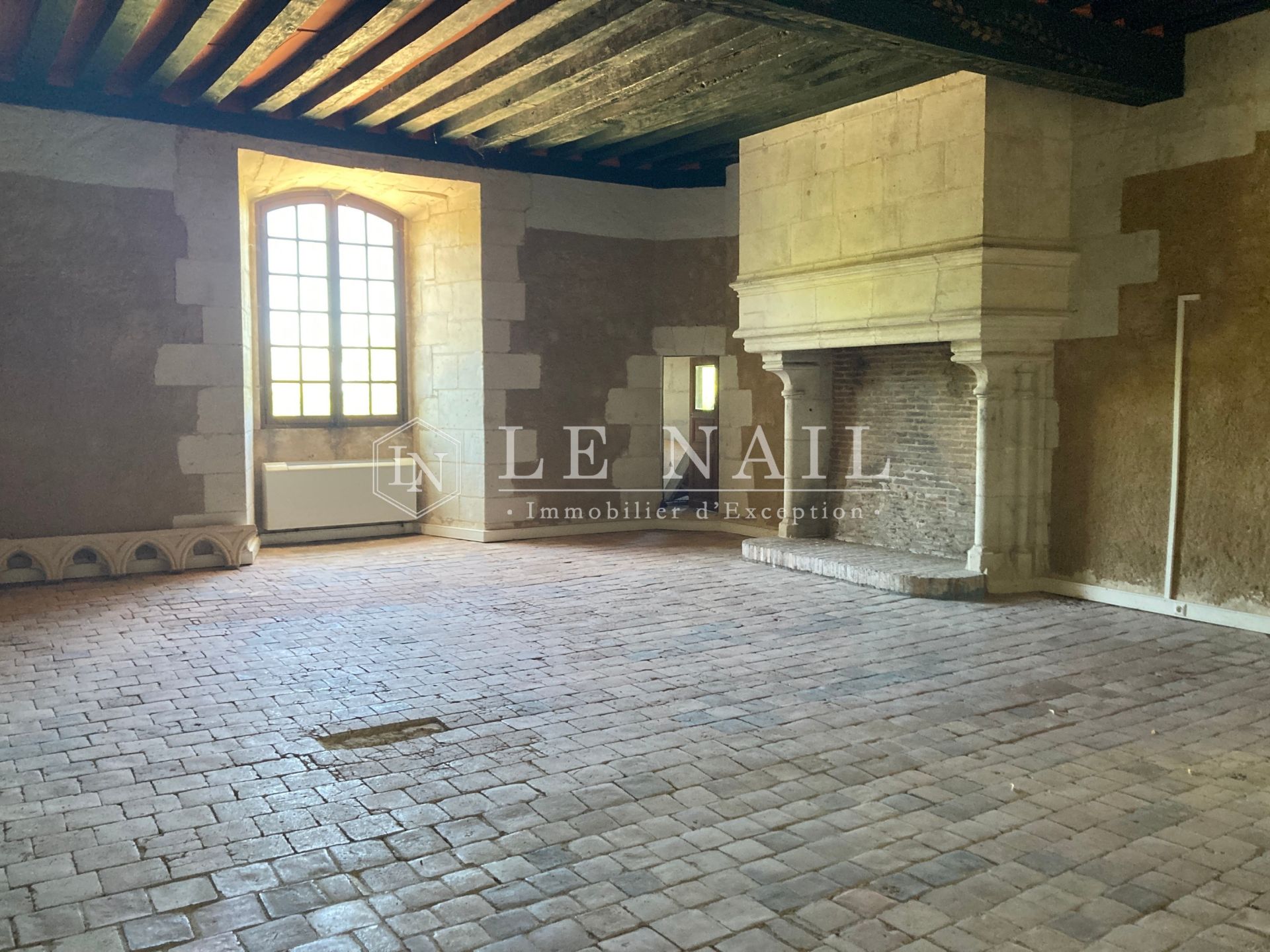 castle 15 rooms for sale on BUZANCAIS (36500)