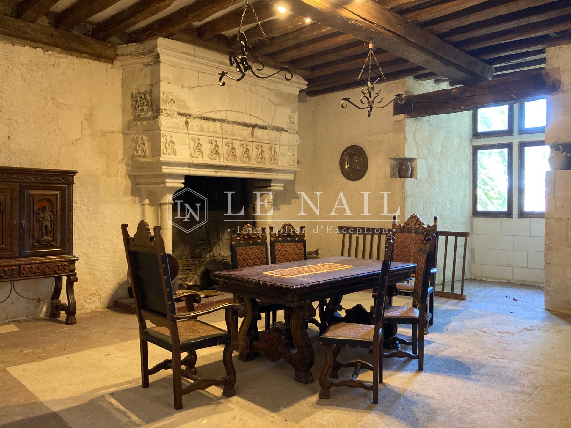 castle 15 rooms for sale on BUZANCAIS (36500)