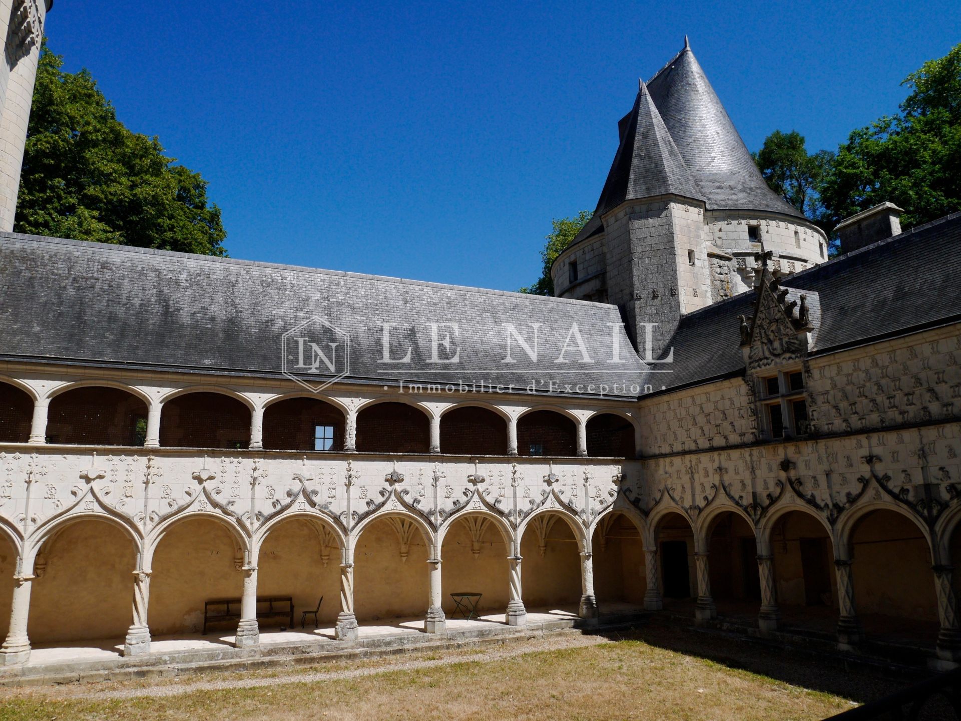 castle 15 rooms for sale on BUZANCAIS (36500)