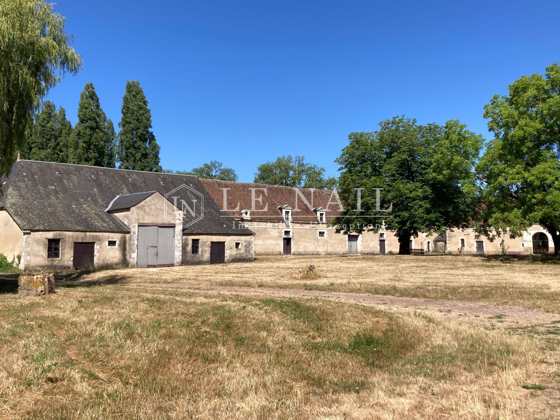 château 15 pièces en vente à BUZANCAIS (36500)