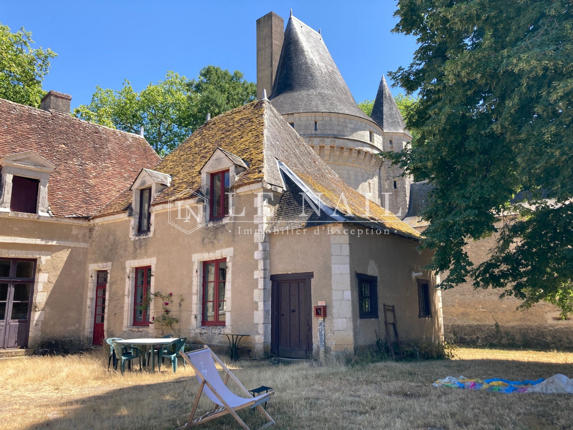 castle 15 rooms for sale on BUZANCAIS (36500)