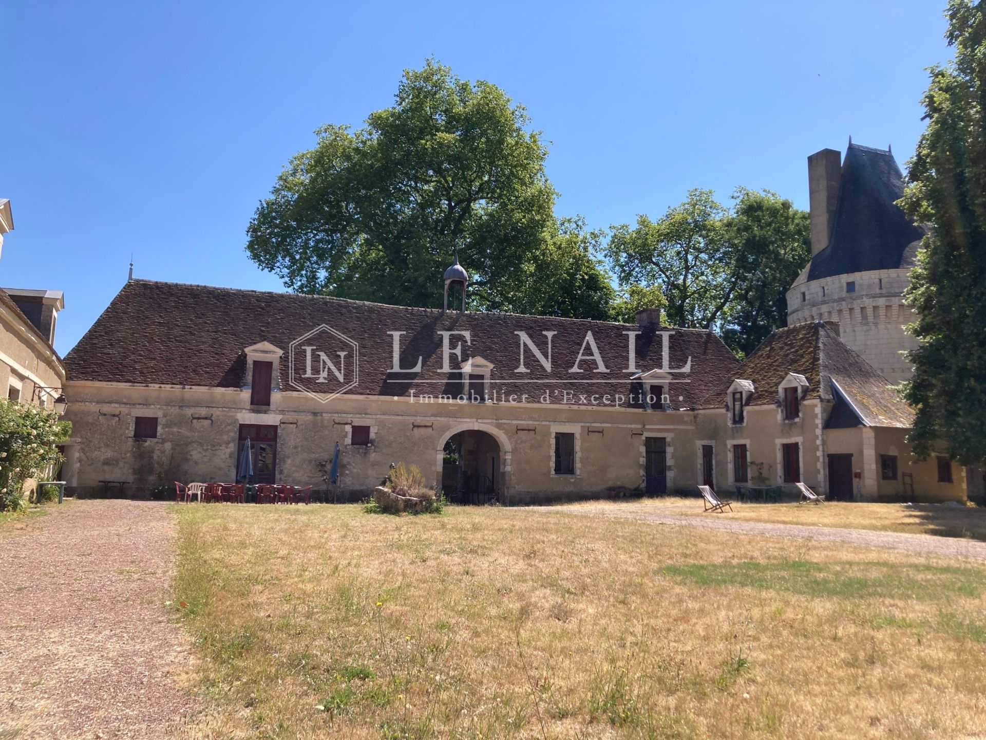 château 15 pièces en vente à BUZANCAIS (36500)