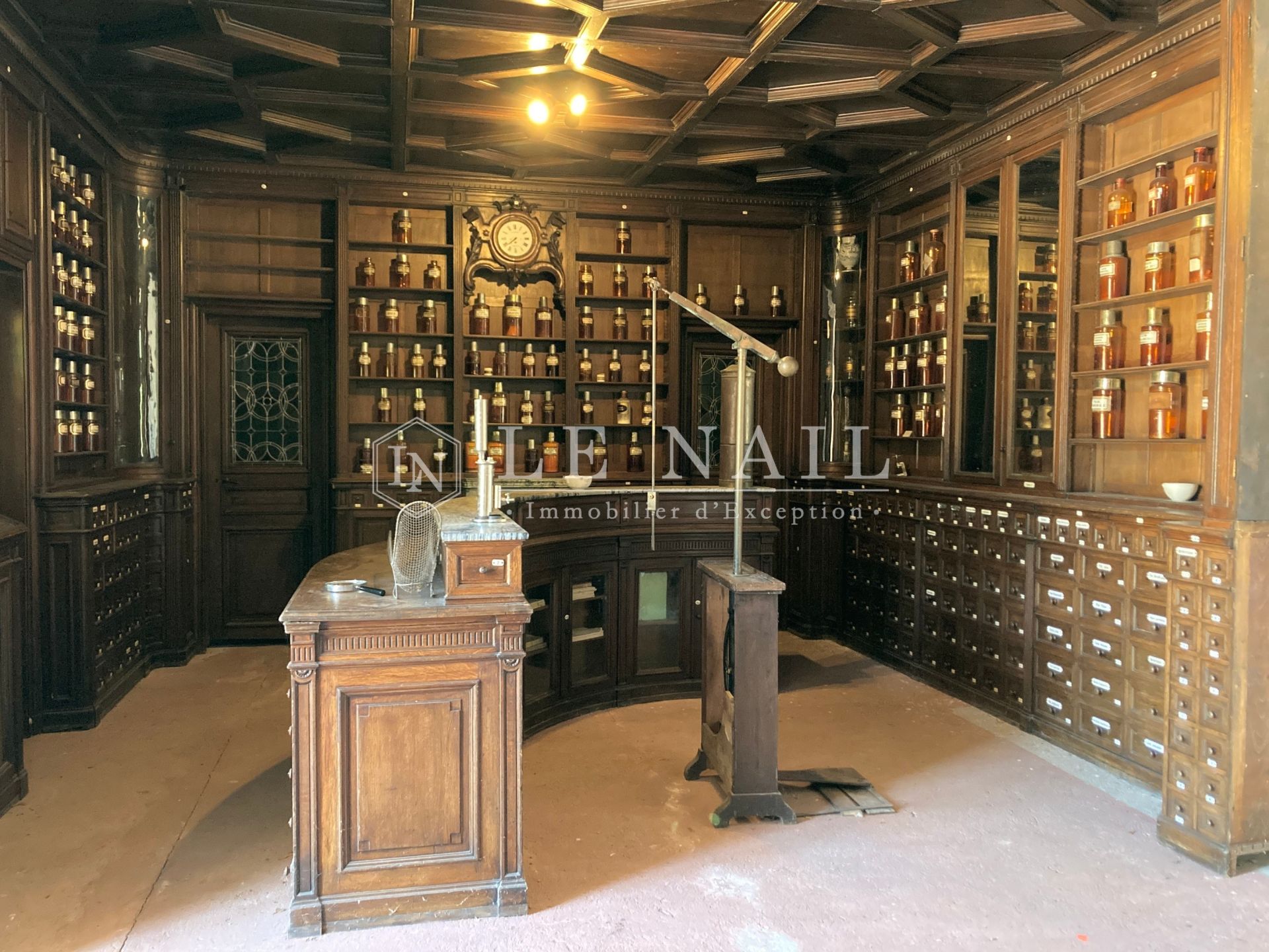 château 15 pièces en vente à BUZANCAIS (36500)