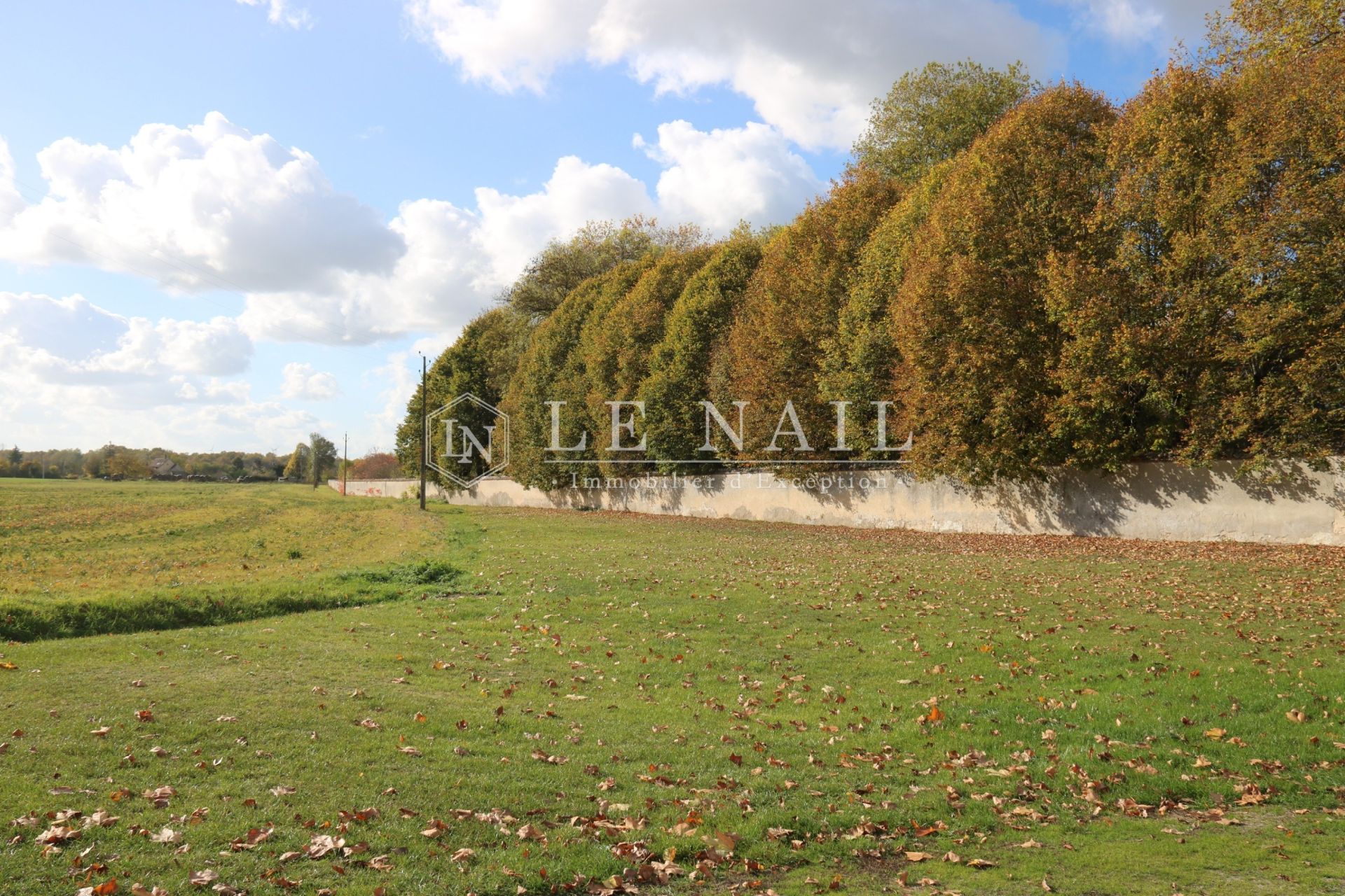 château 15 pièces en vente à BUZANCAIS (36500)