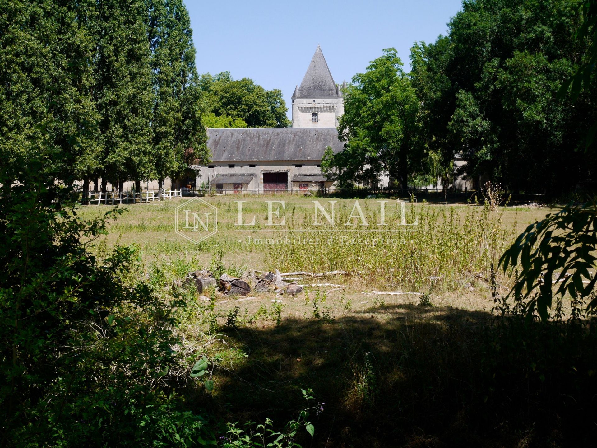 castle 15 rooms for sale on BUZANCAIS (36500)
