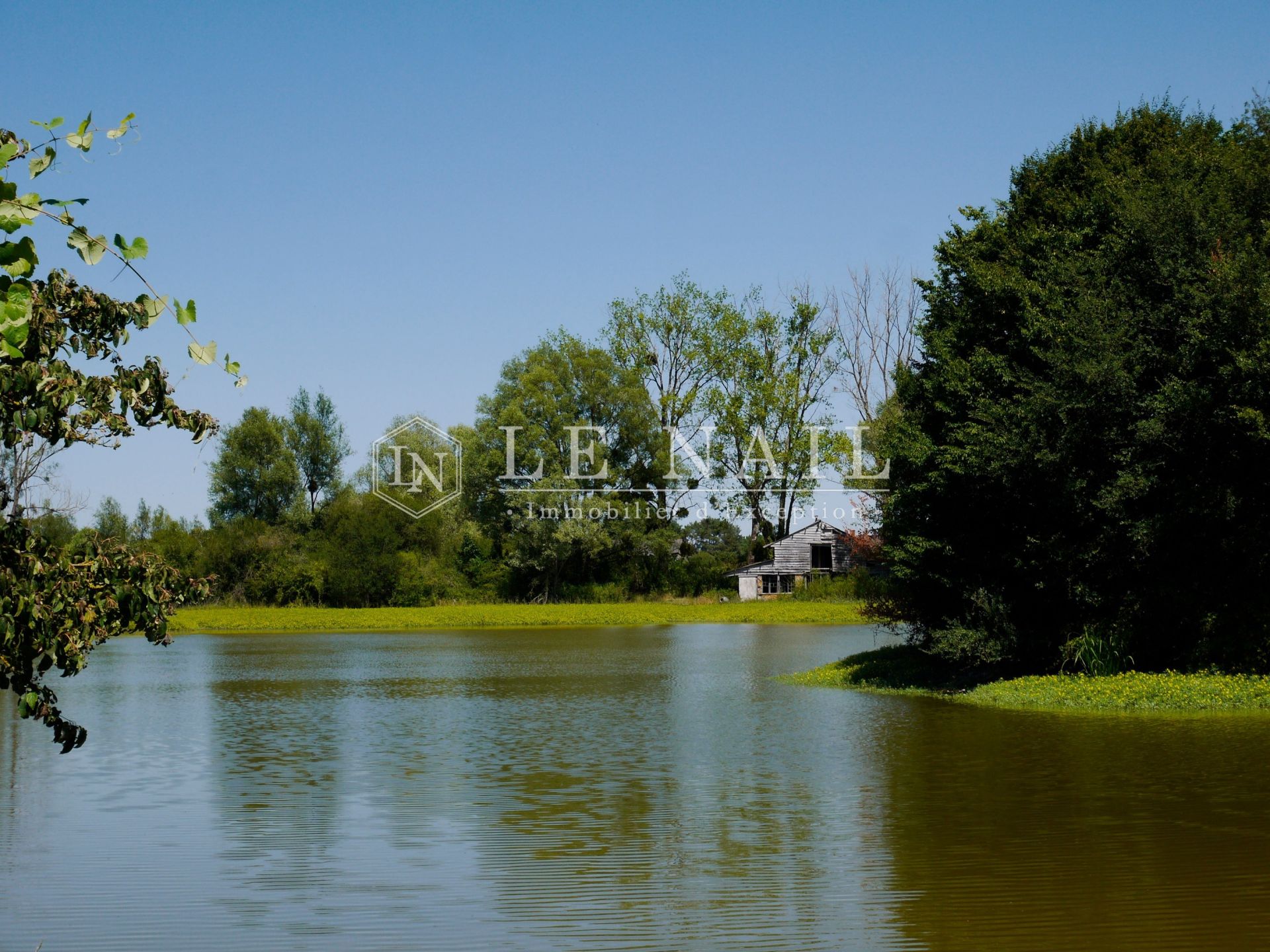 château 15 pièces en vente à BUZANCAIS (36500)