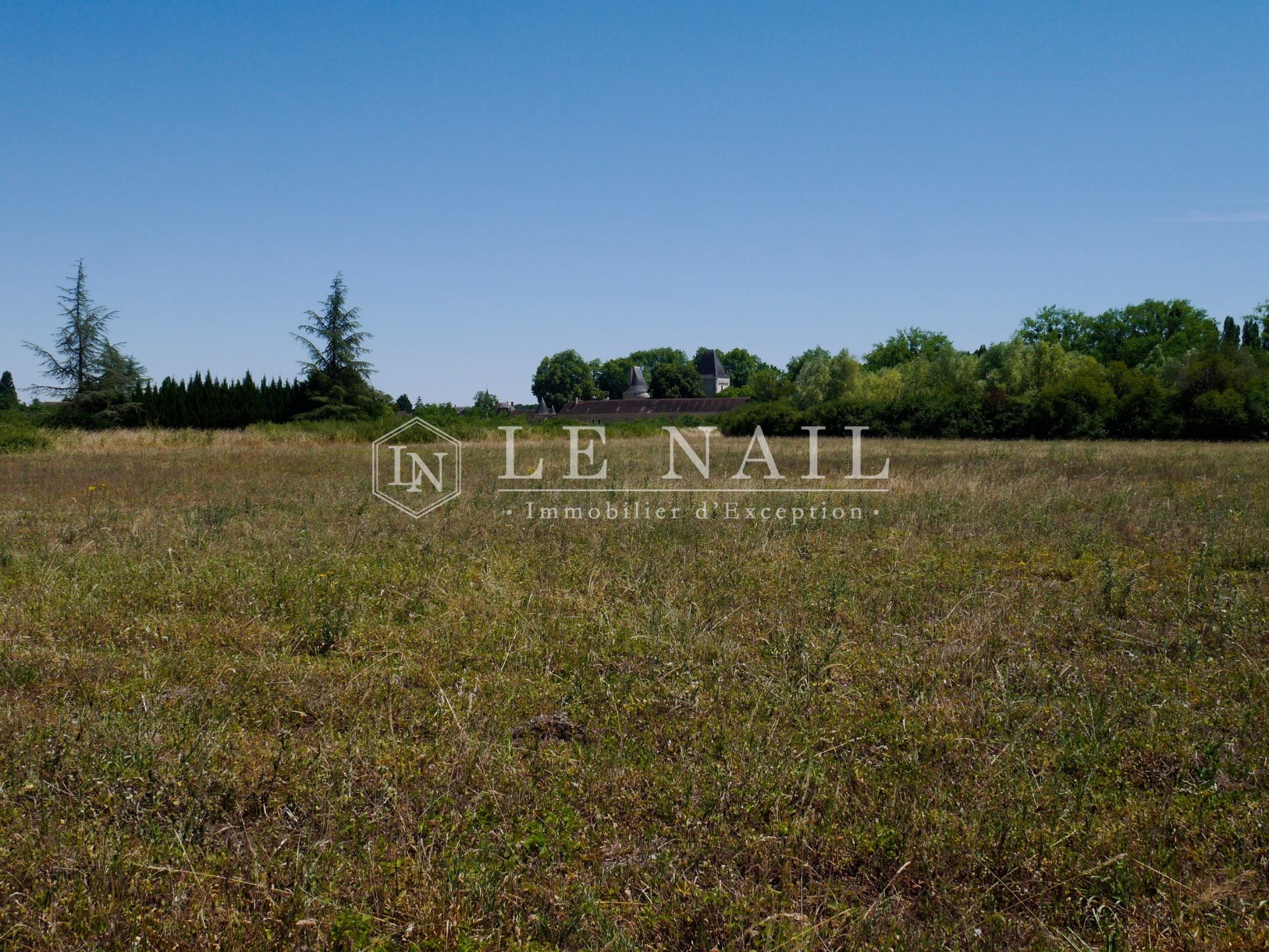 château 15 pièces en vente à BUZANCAIS (36500)