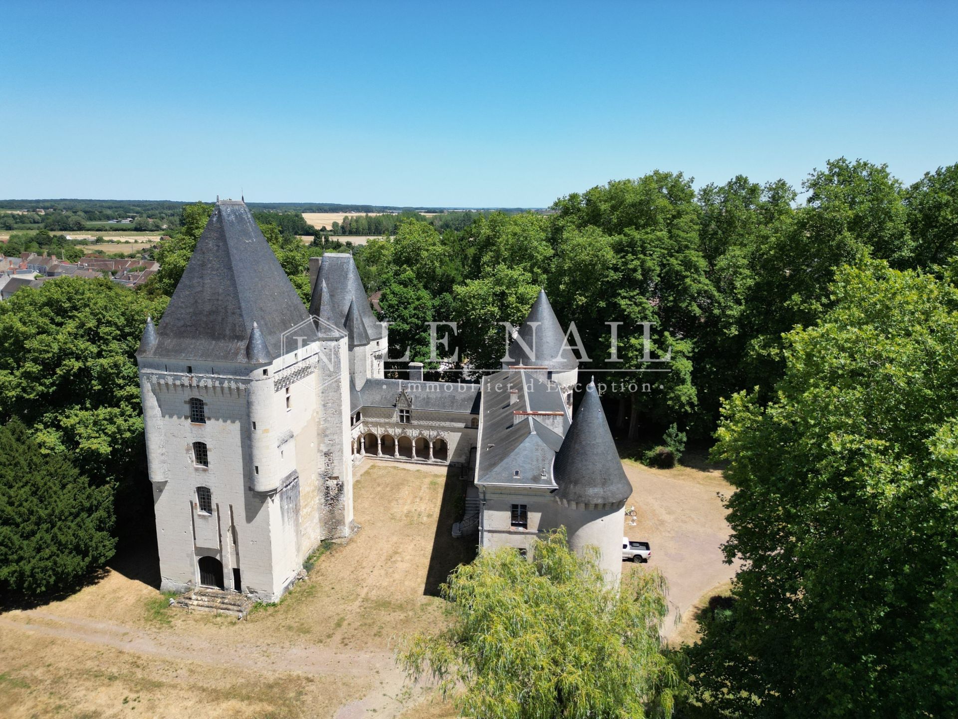 castle 15 rooms for sale on BUZANCAIS (36500)