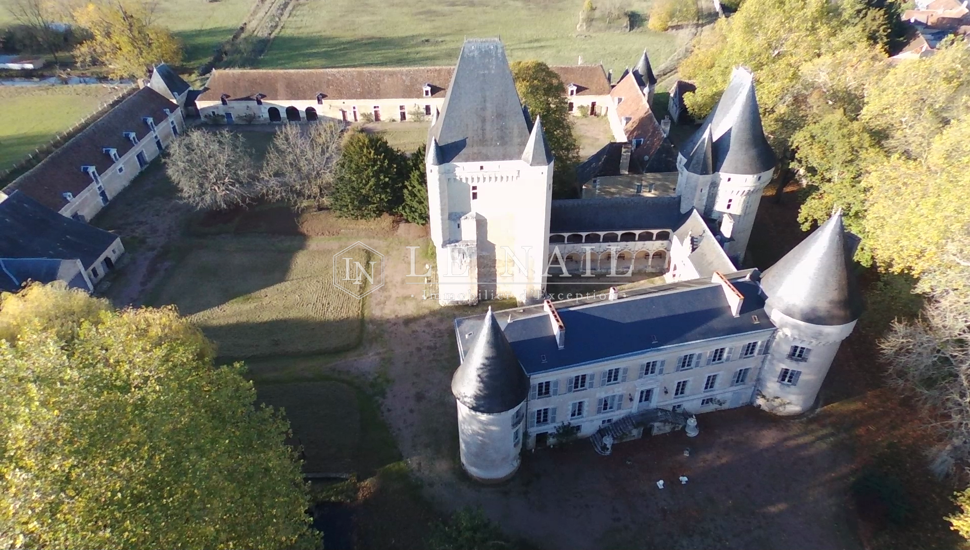 château 15 pièces en vente à BUZANCAIS (36500)