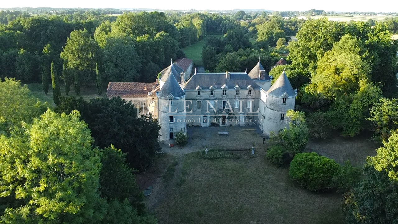 castle 17 rooms for sale on CHANTONNAY (85110)
