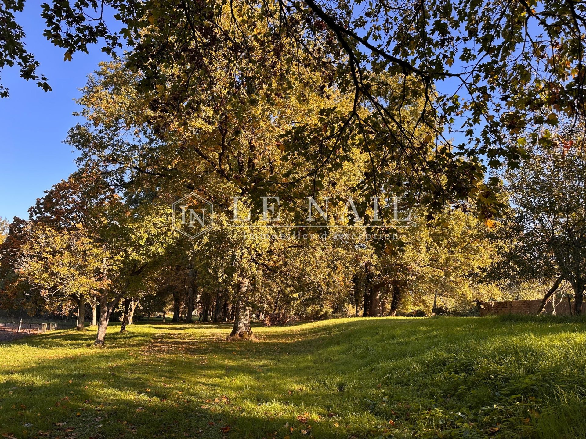 château 17 pièces en vente à CHANTONNAY (85110)