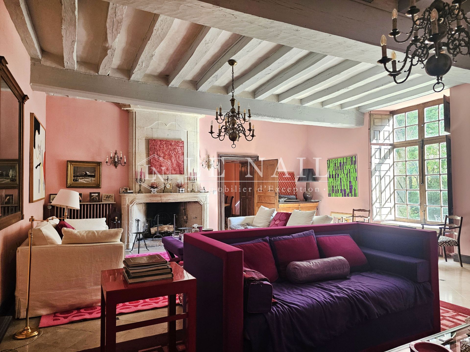 manor house 10 rooms for sale on BAUGE EN ANJOU (49150)