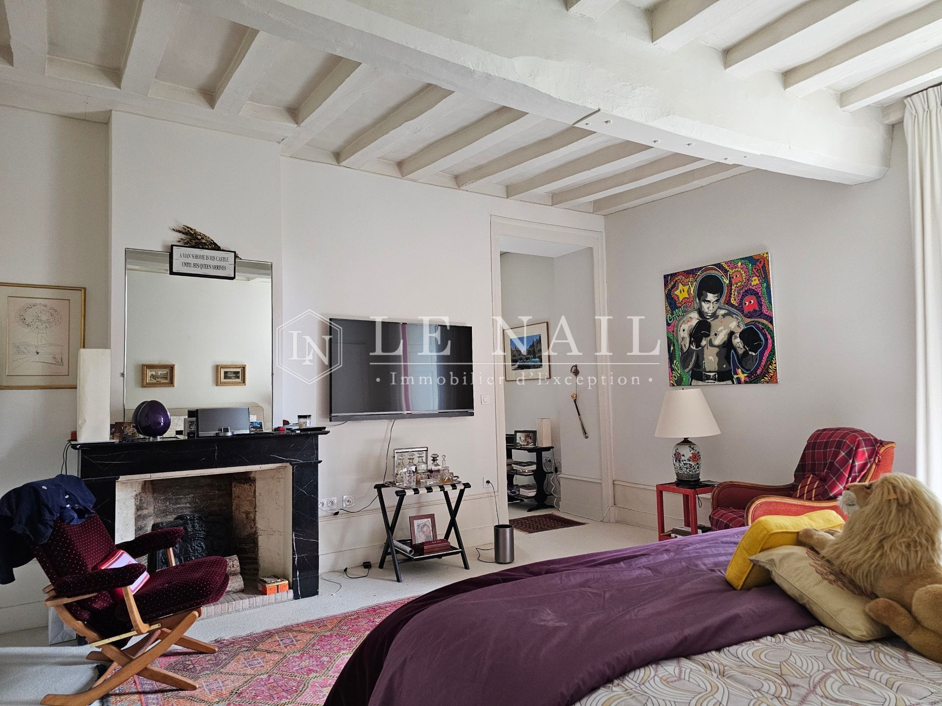 manor house 10 rooms for sale on BAUGE EN ANJOU (49150)