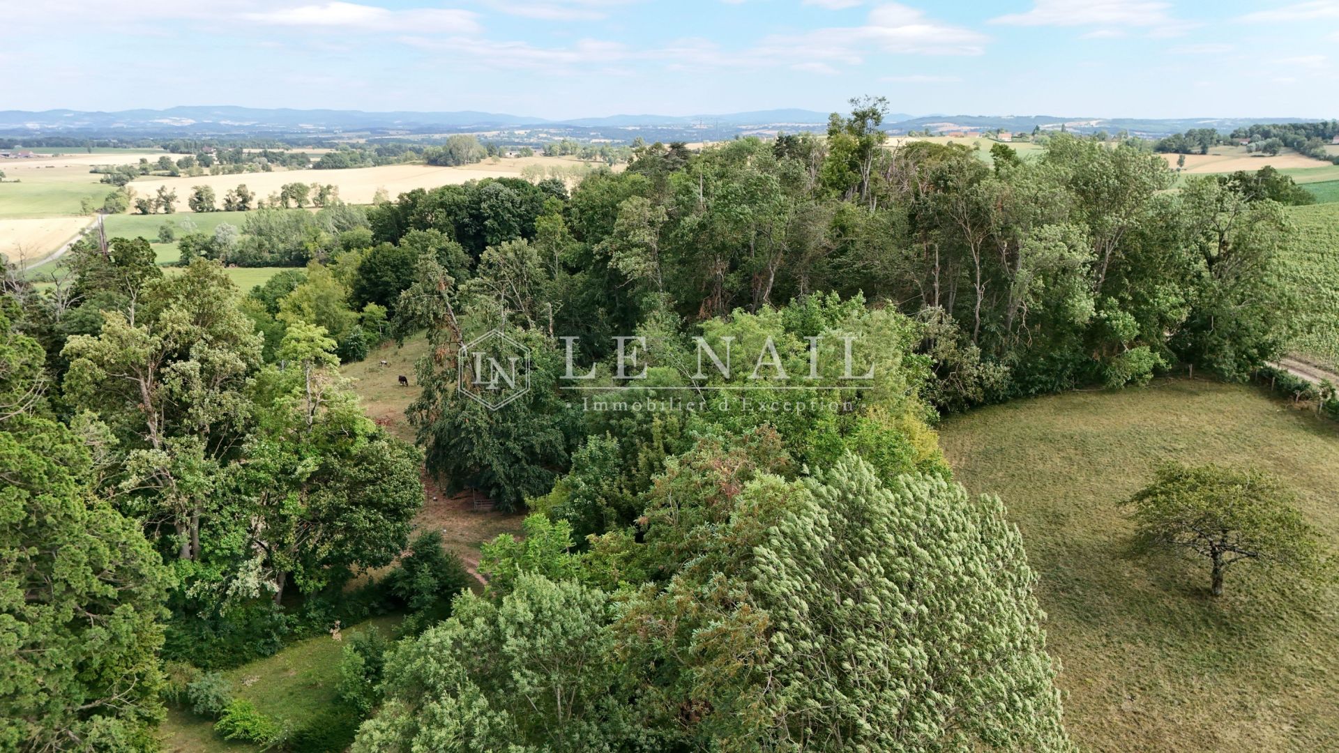 château 25 pièces en vente à VICHY (03200)