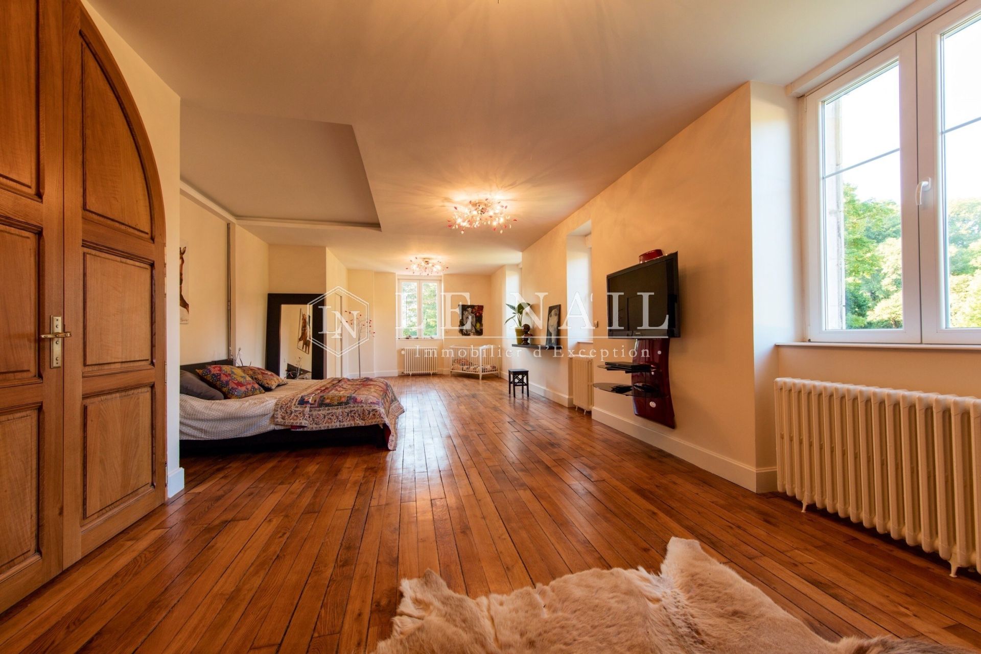 château 25 pièces en vente à VICHY (03200)