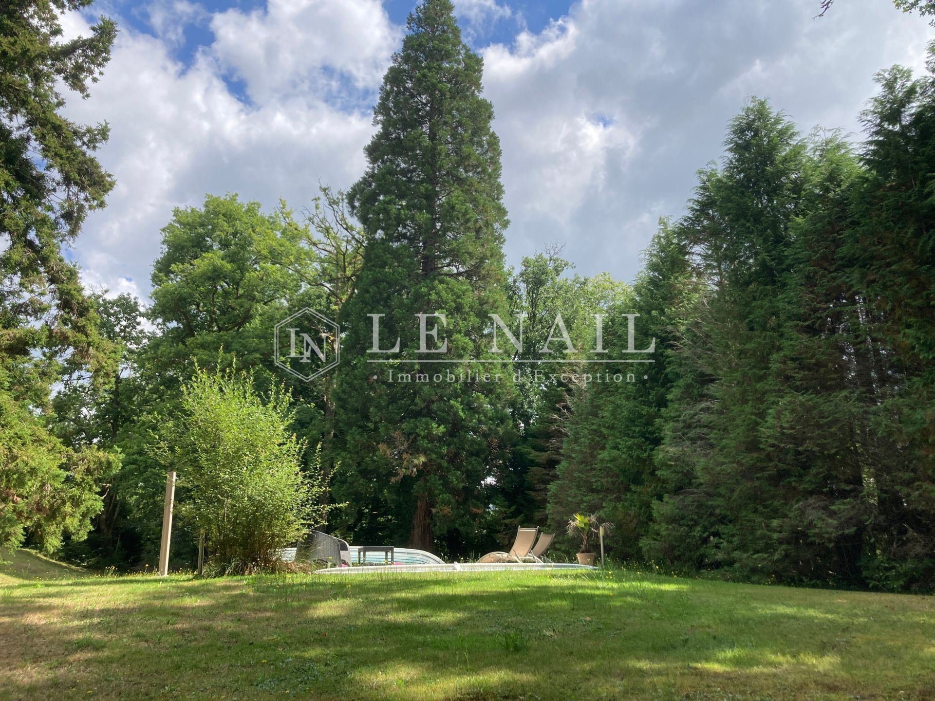manoir 13 pièces en vente à CUSSAC (87150)