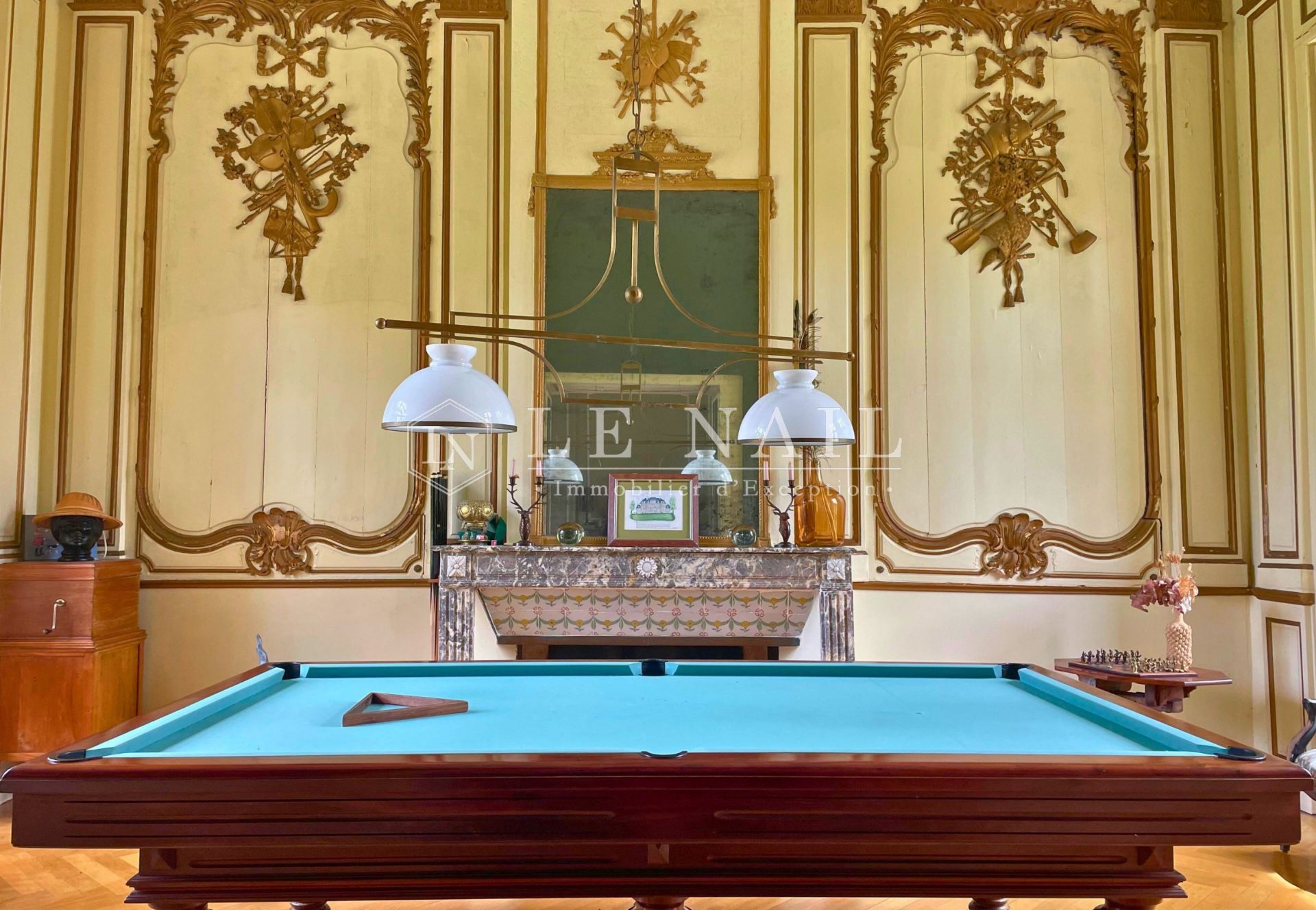 château 40 pièces en vente à GUEMENE SUR SCORFF (56160)