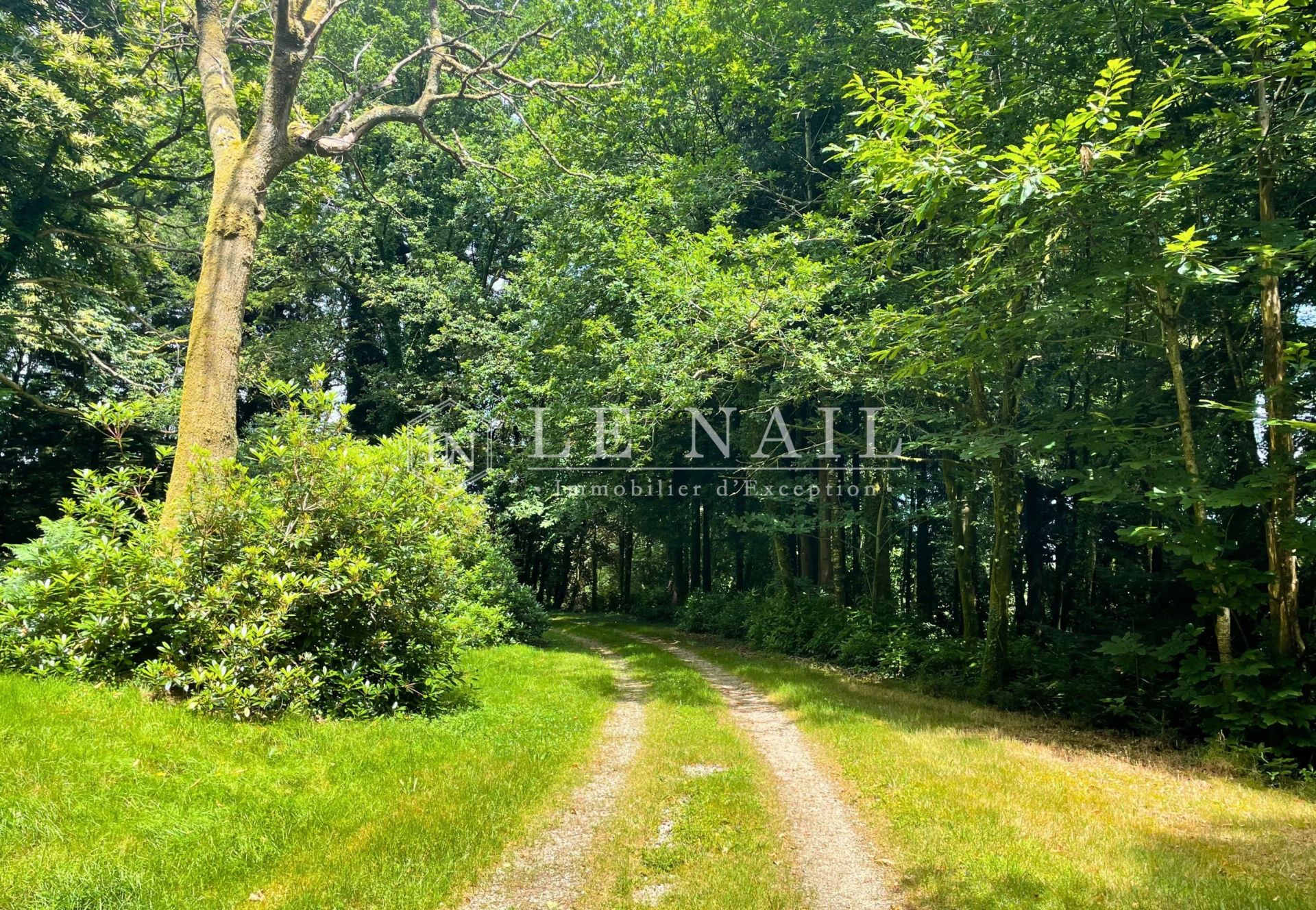 château 40 pièces en vente à GUEMENE SUR SCORFF (56160)