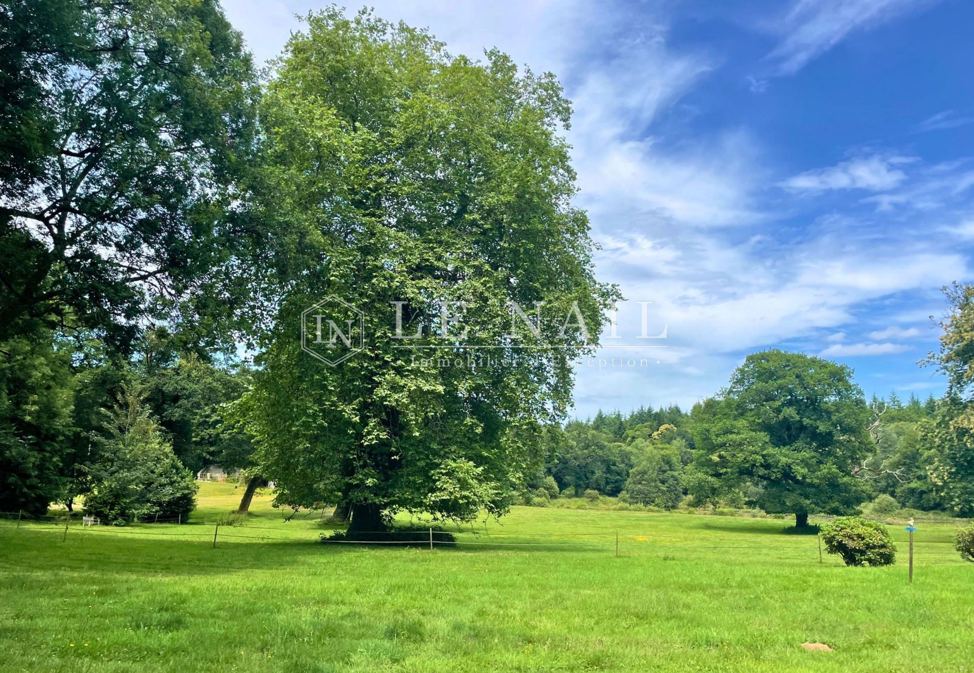 château 40 pièces en vente à GUEMENE SUR SCORFF (56160)