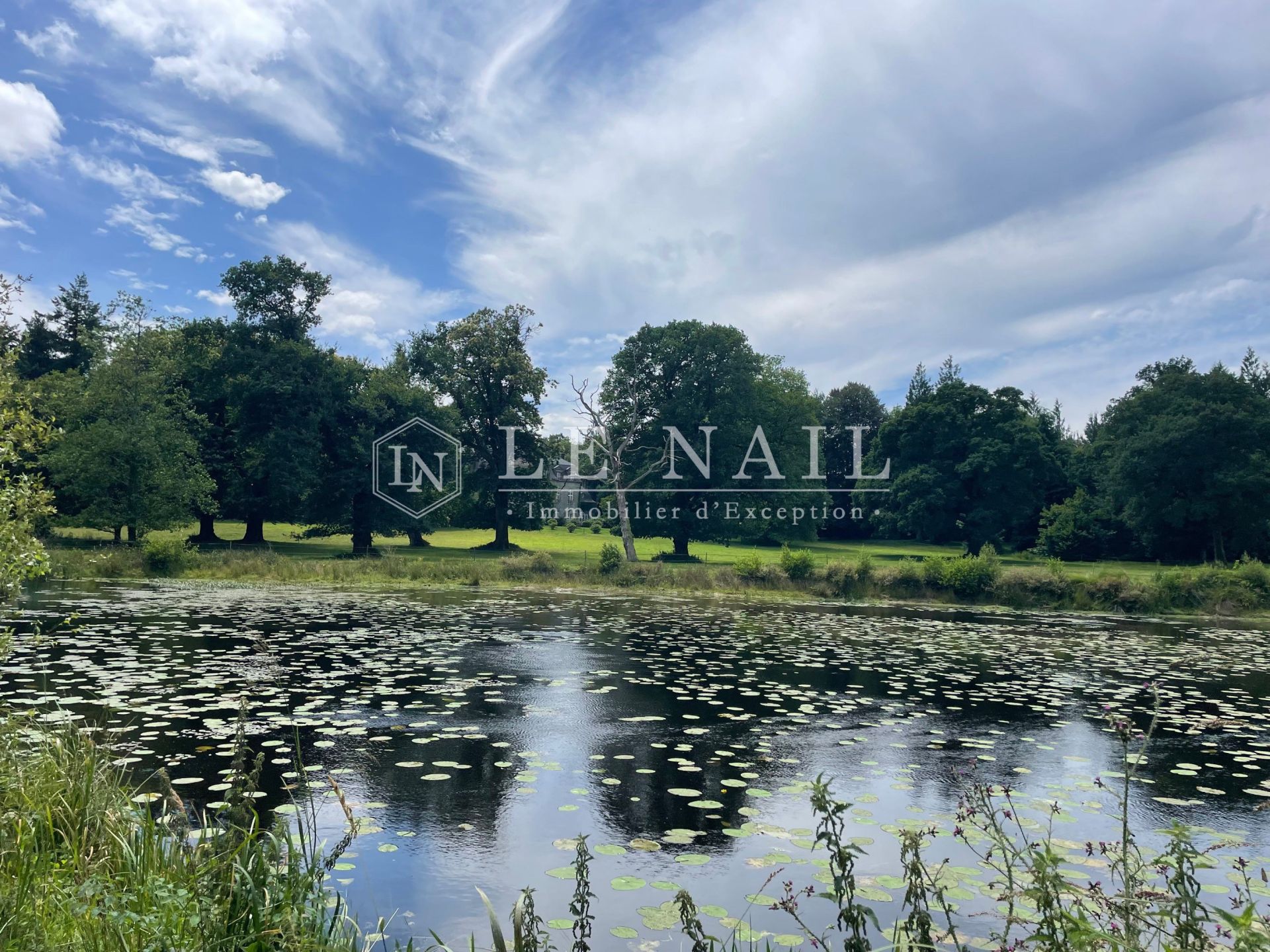 château 40 pièces en vente à GUEMENE SUR SCORFF (56160)
