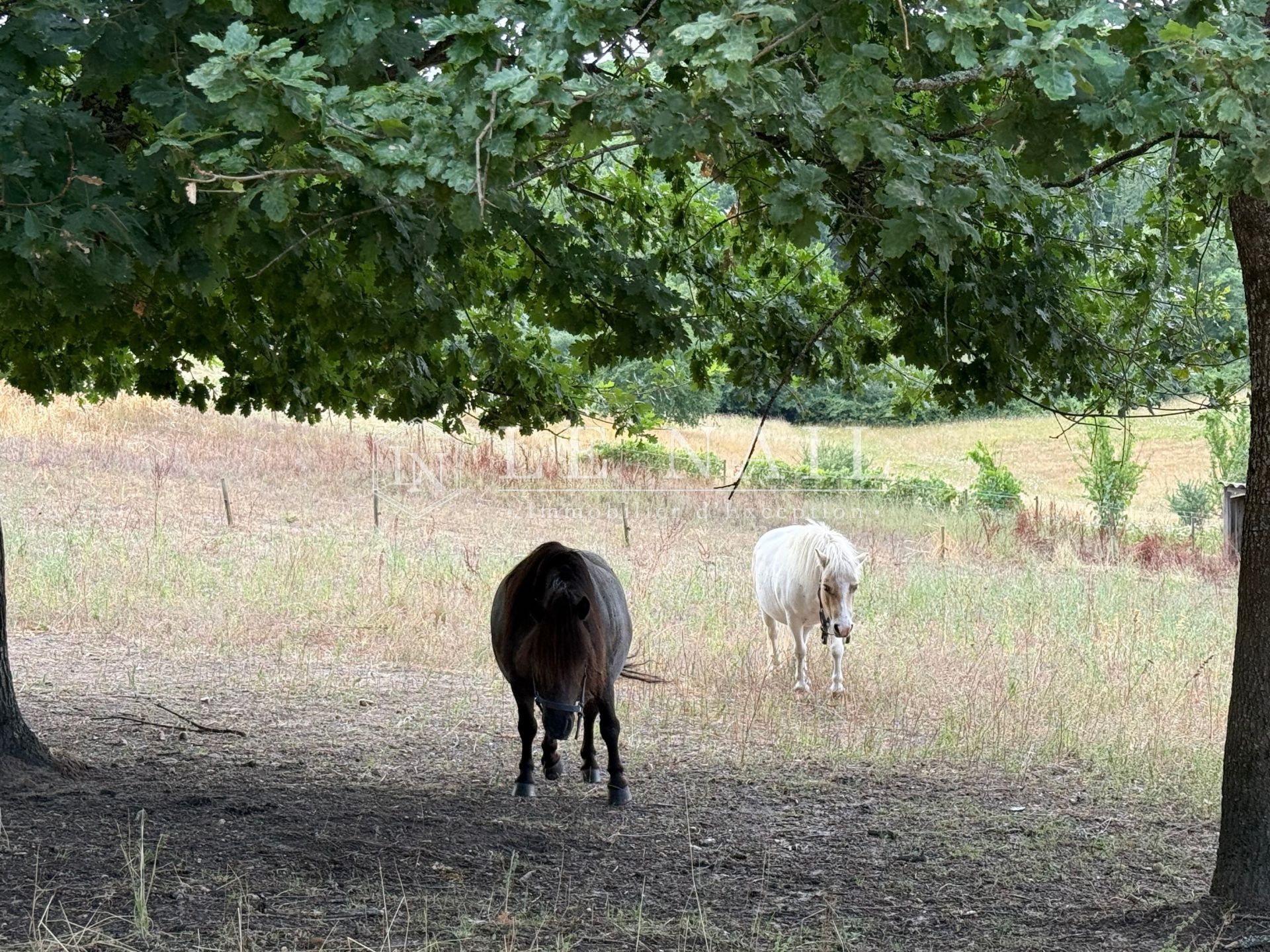 propriété 9 pièces en vente à BERGERAC (24100)