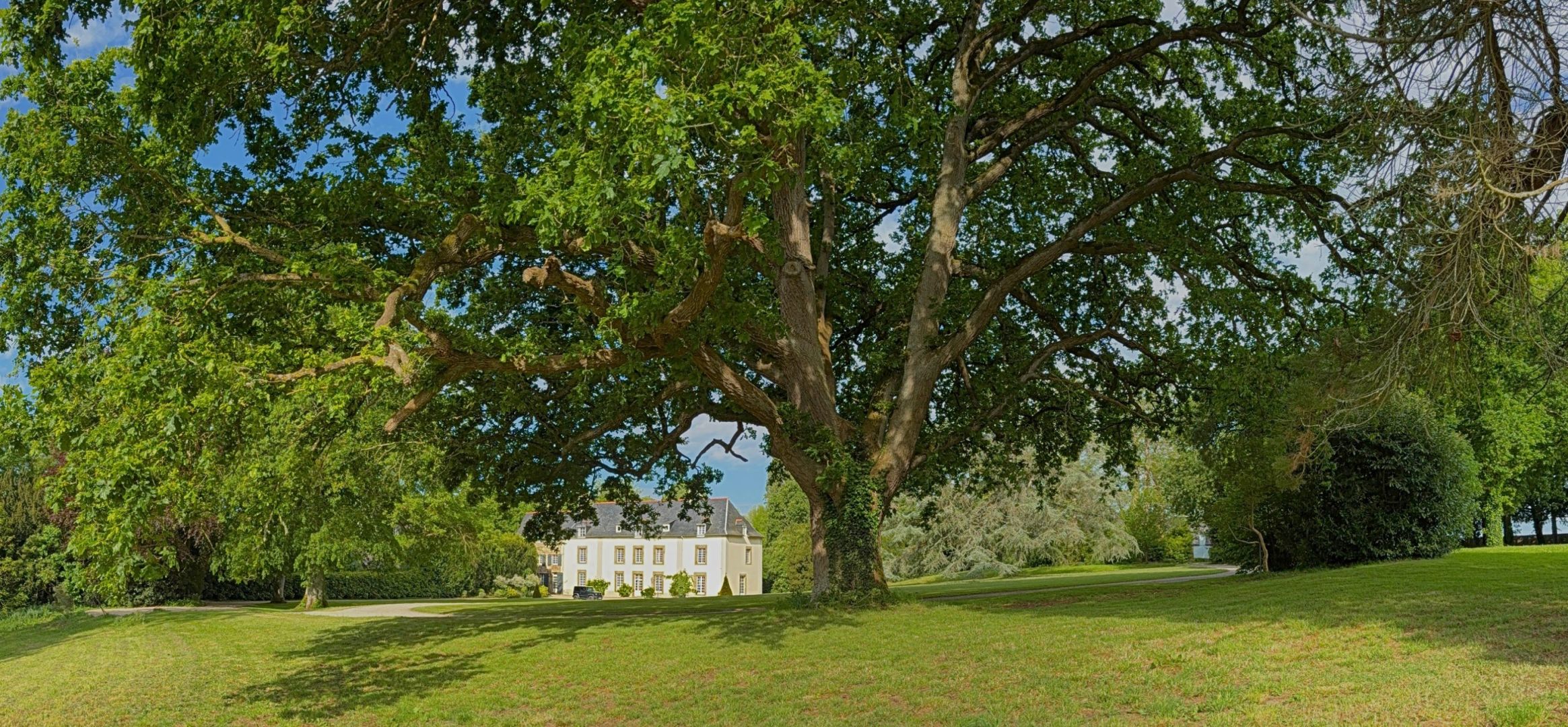 mansion 17 rooms for sale on ST MALO (35400)