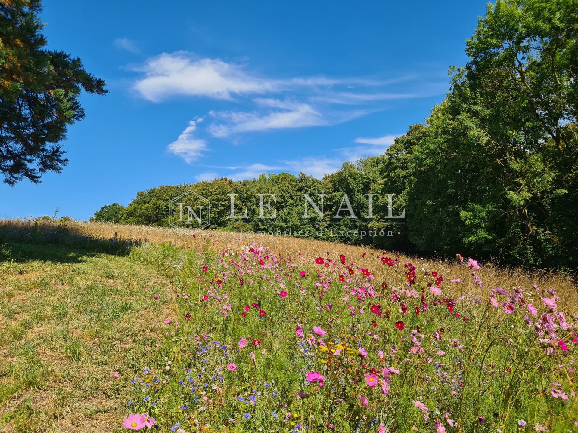 mansion 17 rooms for sale on ST MALO (35400)
