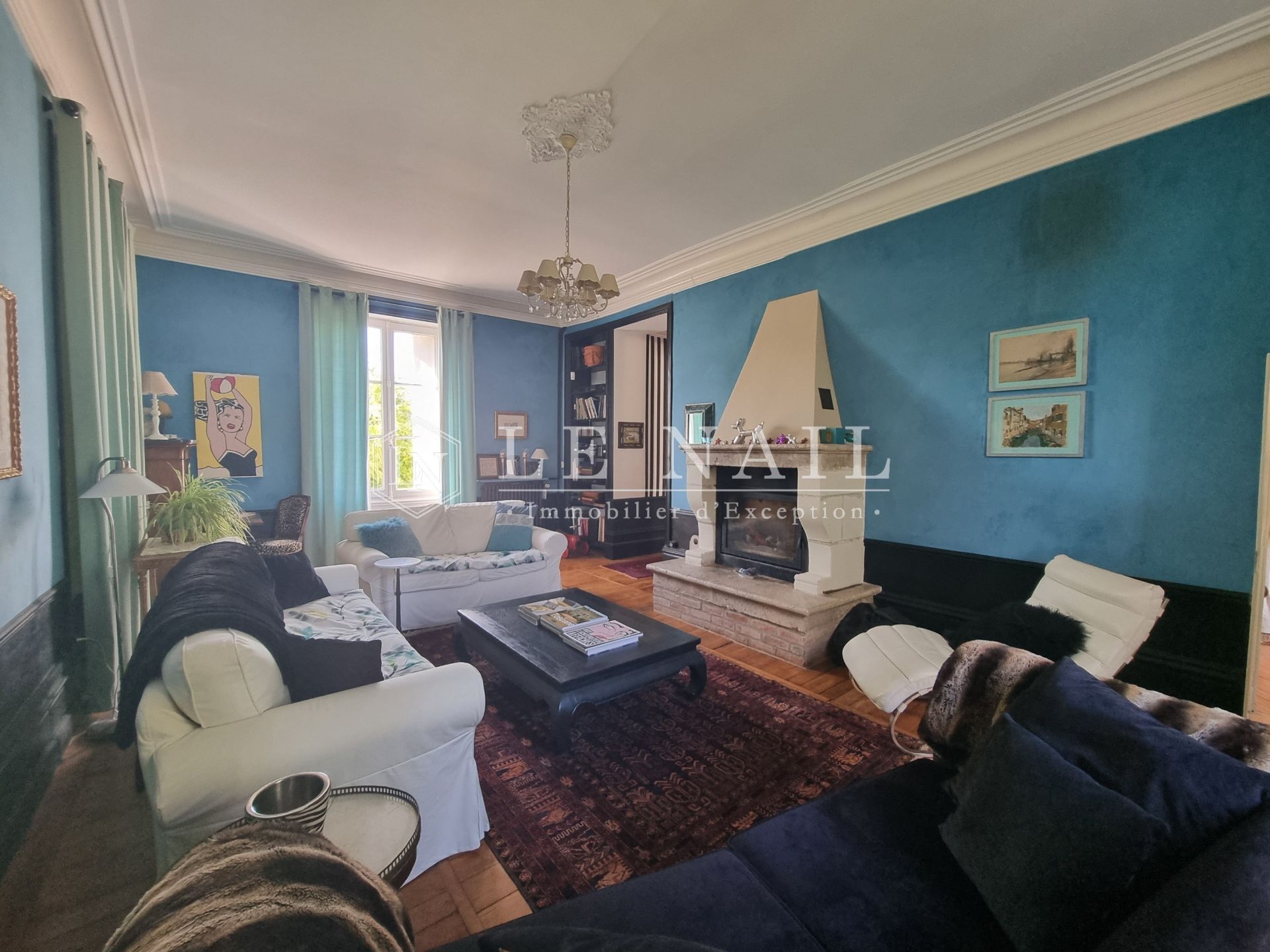 château 10 pièces en vente à MONTRICHARD (41400)
