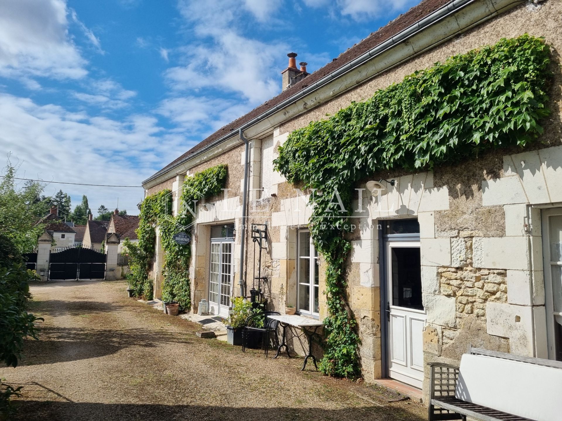 château 10 pièces en vente à MONTRICHARD (41400)