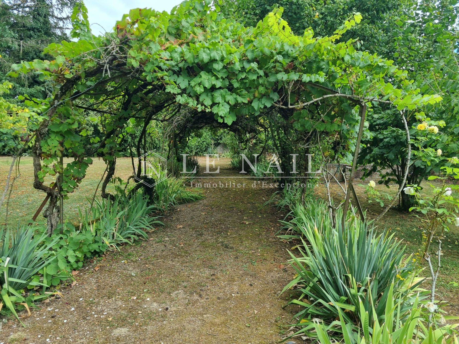 château 10 pièces en vente à MONTRICHARD (41400)