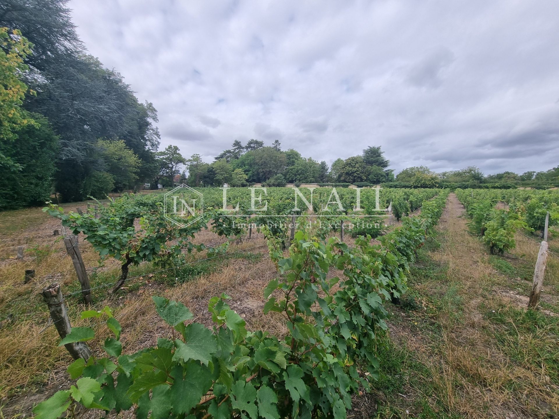 château 10 pièces en vente à MONTRICHARD (41400)
