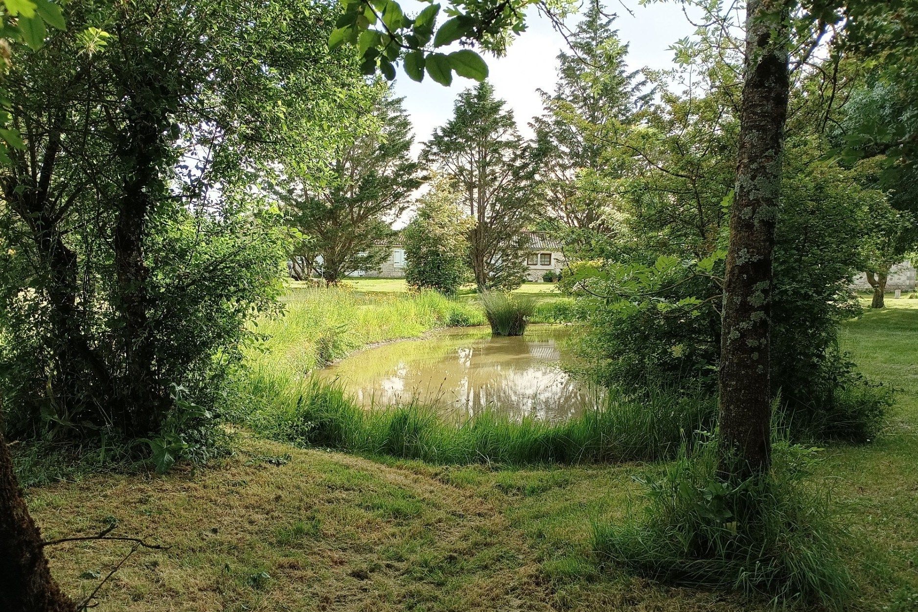 property 6 rooms for sale on LA ROCHELLE (17000)