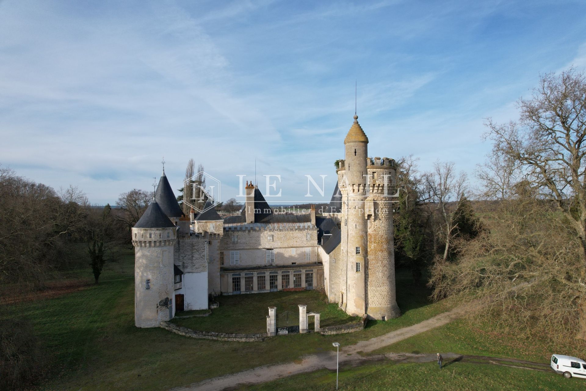 castle 23 rooms for sale on SANCOINS (18600)