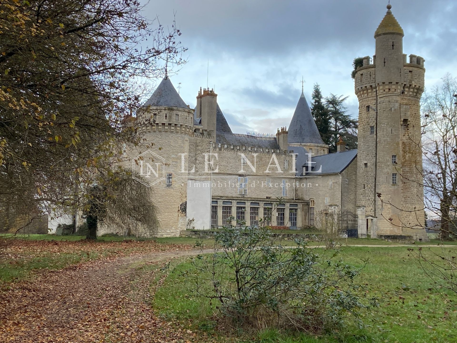 castle 23 rooms for sale on SANCOINS (18600)