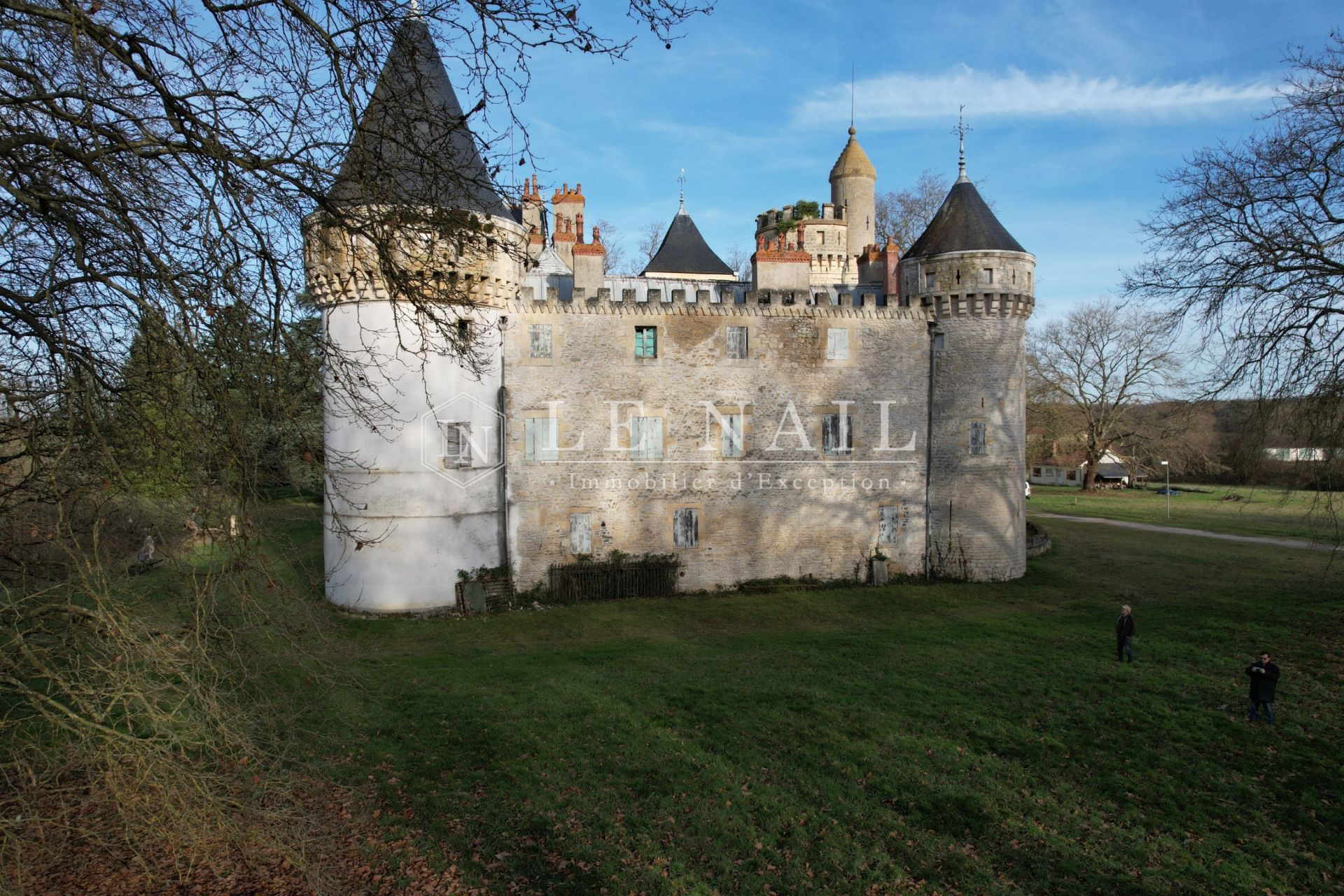 castle 23 rooms for sale on SANCOINS (18600)