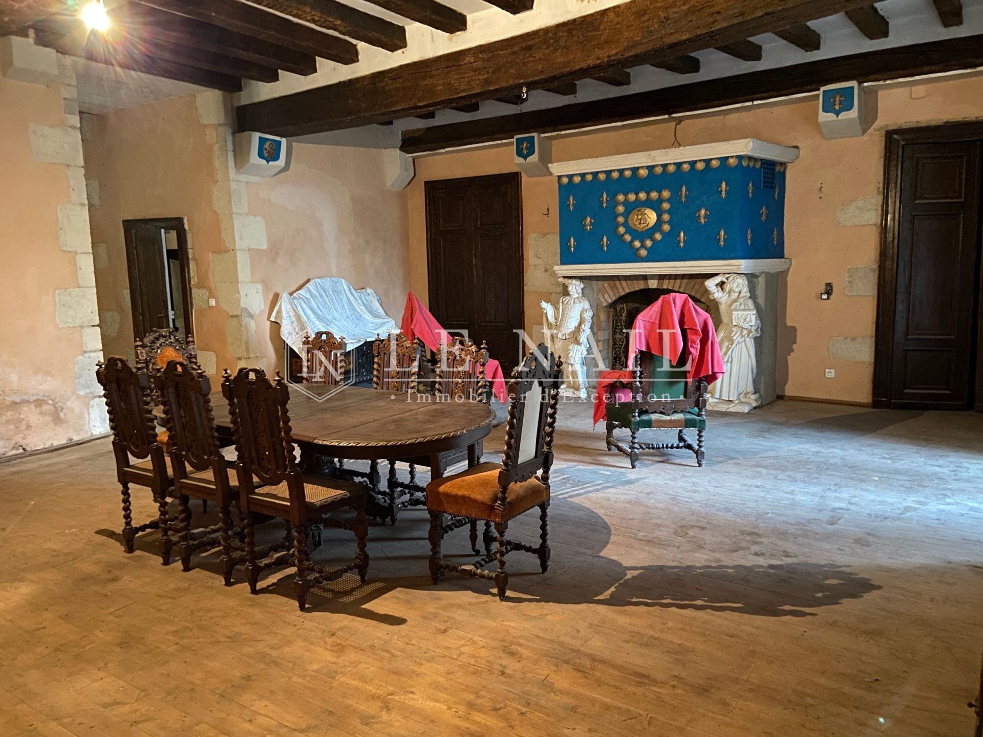 castle 23 rooms for sale on SANCOINS (18600)