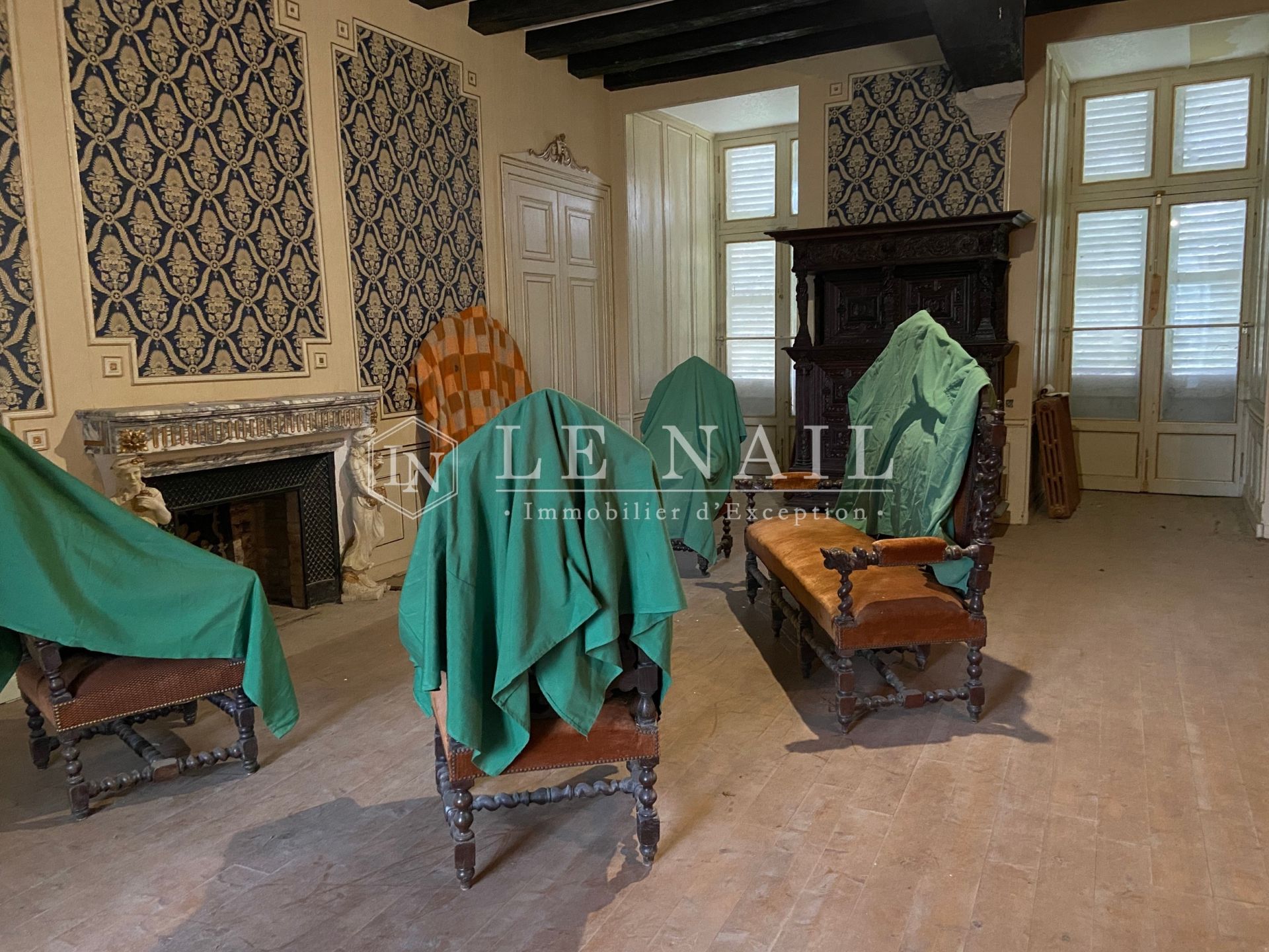 castle 23 rooms for sale on SANCOINS (18600)