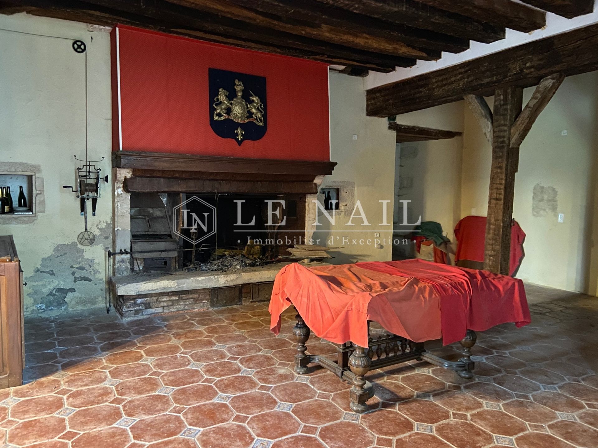 castle 23 rooms for sale on SANCOINS (18600)
