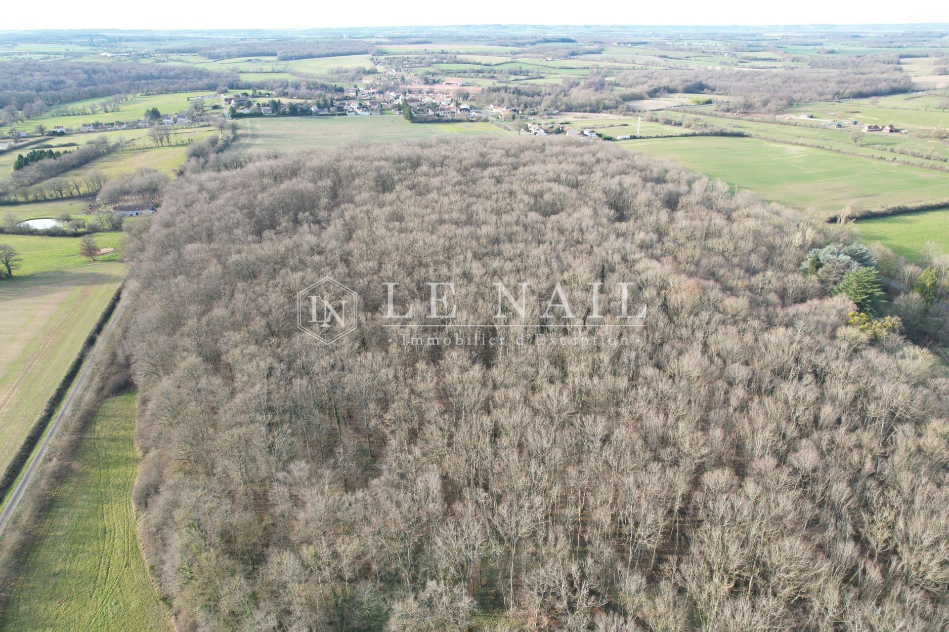 château 23 pièces en vente à SANCOINS (18600)
