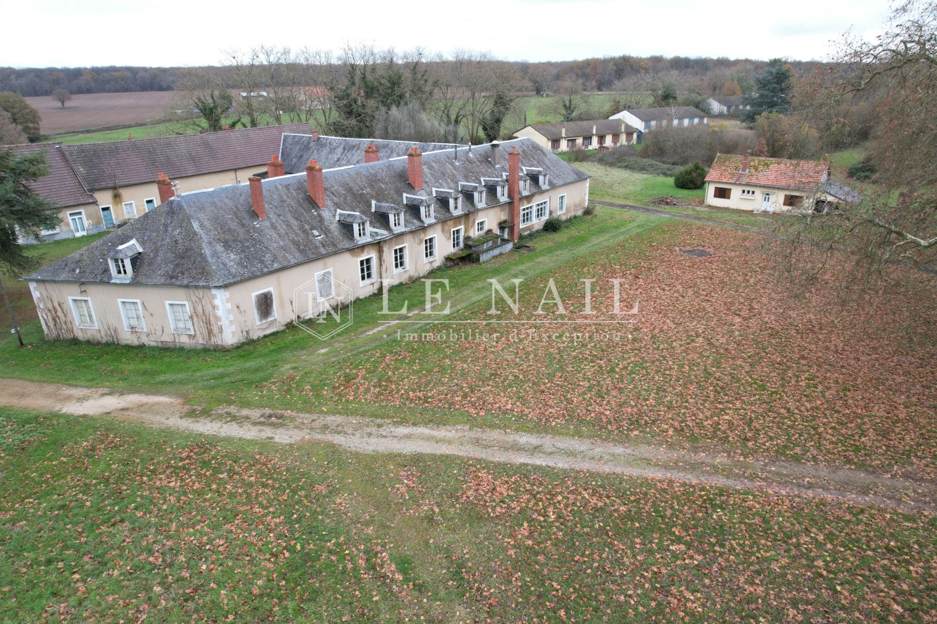 castle 23 rooms for sale on SANCOINS (18600)