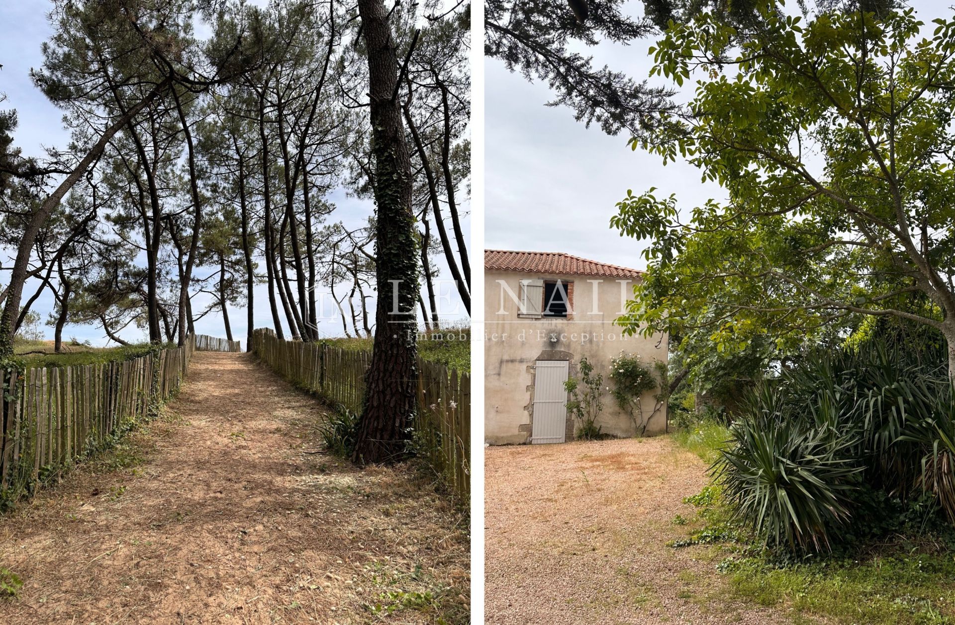 propriété 8 pièces en vente à JARD SUR MER (85520)