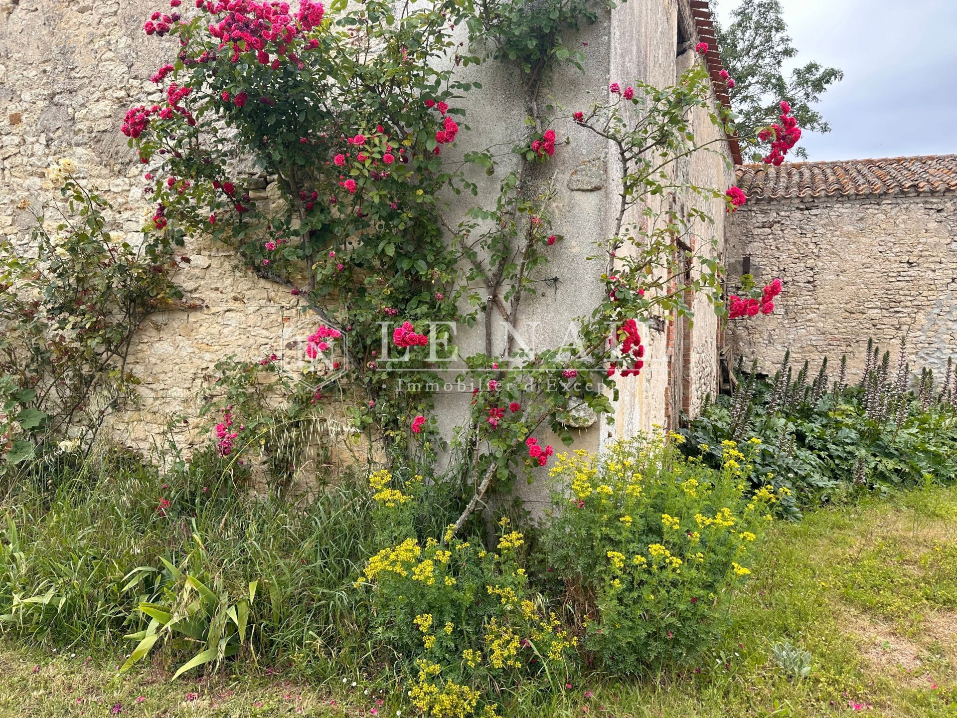 property 8 rooms for sale on JARD SUR MER (85520)
