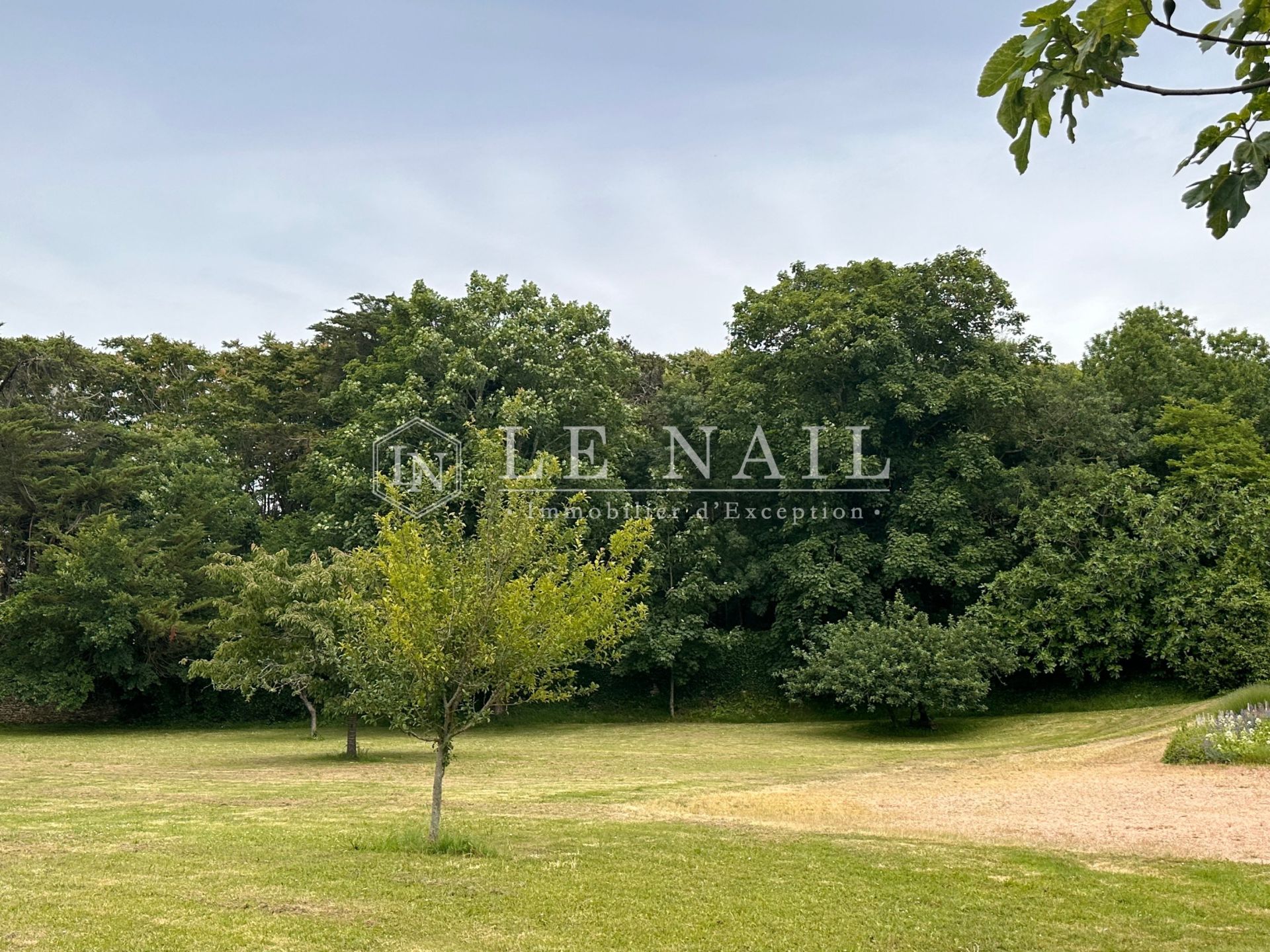 propriété 8 pièces en vente à JARD SUR MER (85520)