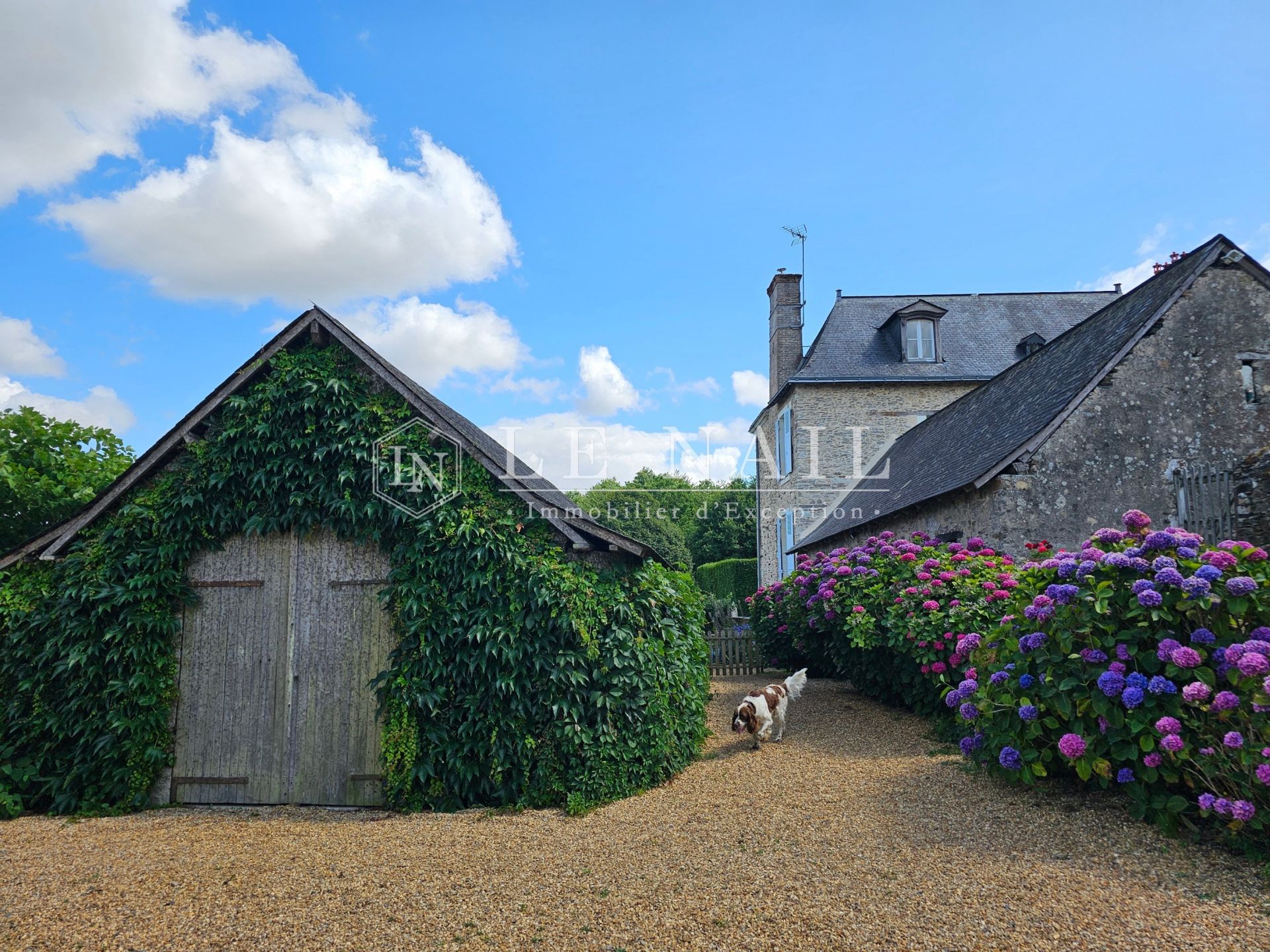 maison de maître 11 pièces en vente à SEGRE EN ANJOU BLEU (49500)