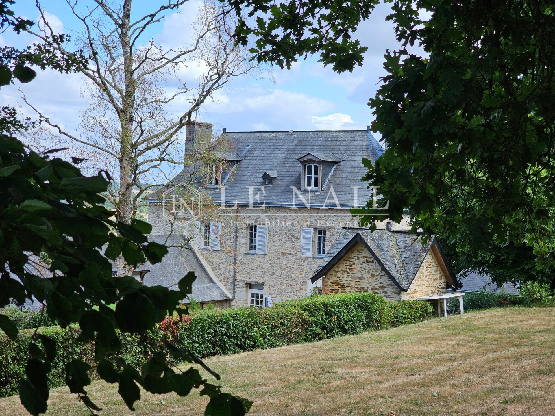 maison de maître 11 pièces en vente à SEGRE EN ANJOU BLEU (49500)
