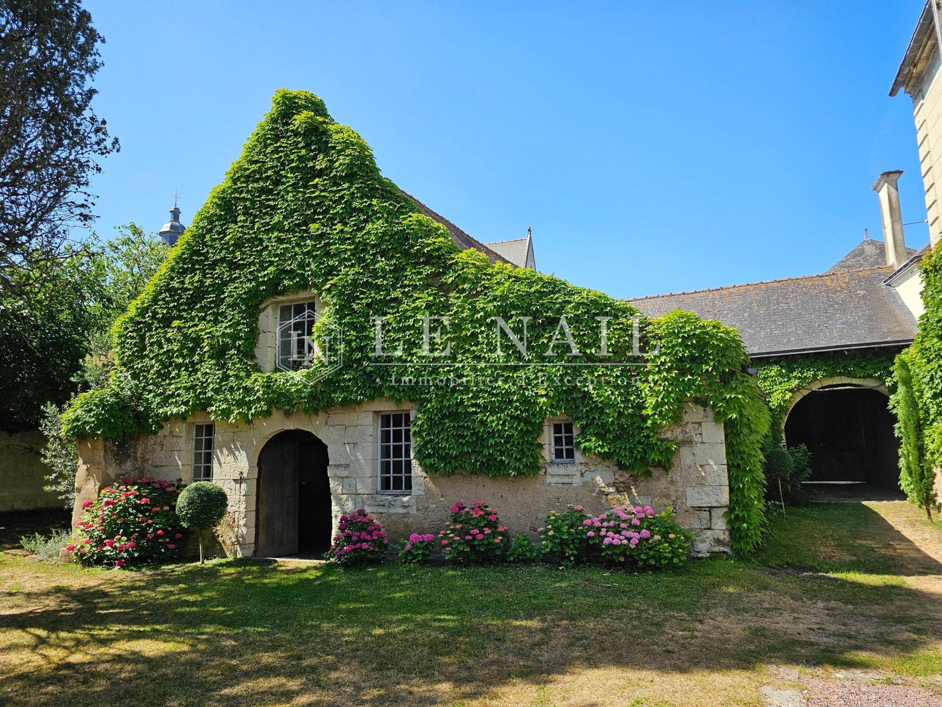 mansion (hôtel particulier) 12 rooms for sale on MONTREUIL BELLAY (49260)