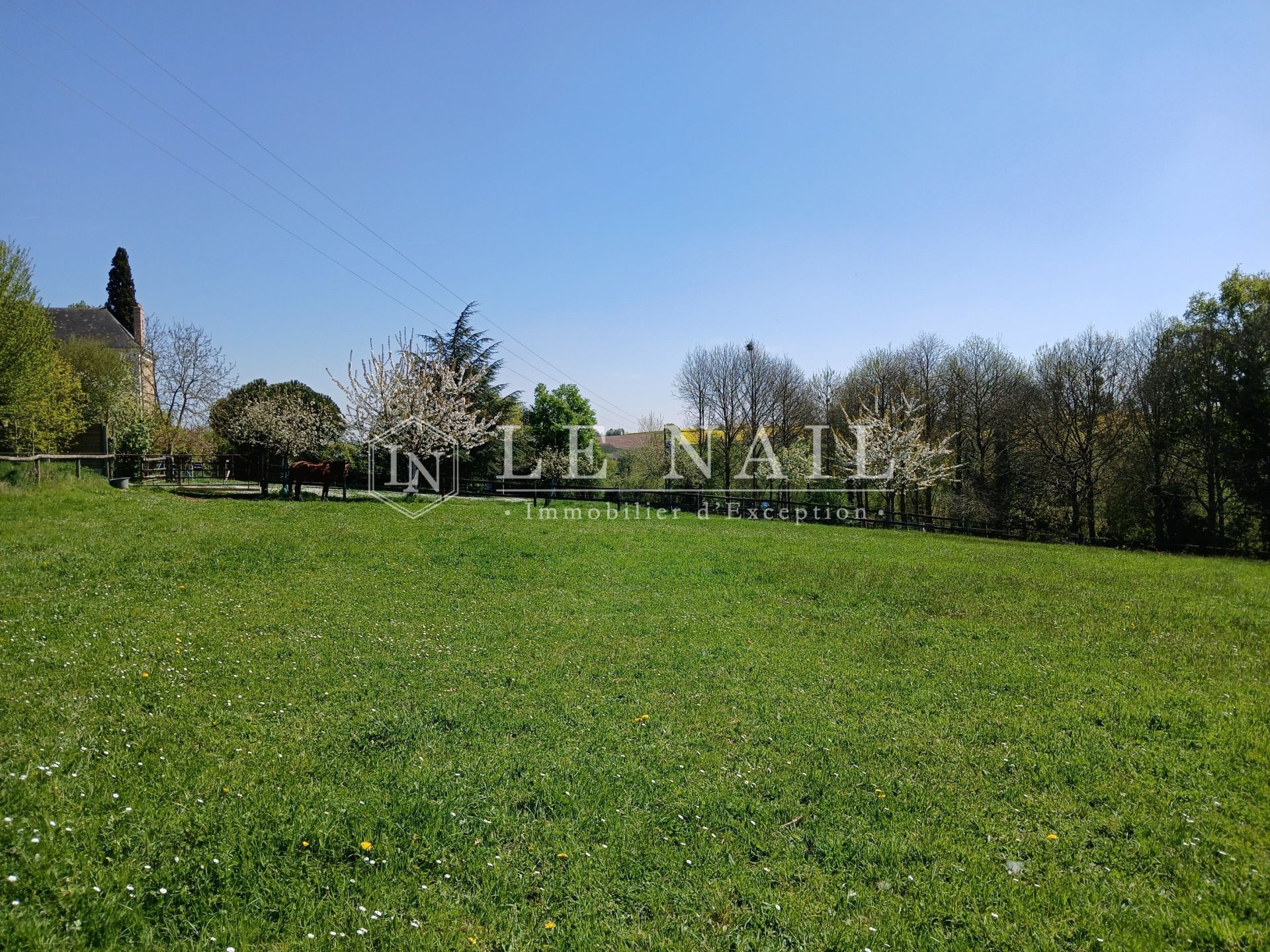 maison de maître 10 pièces en vente à CHATEAU GONTIER (53200)